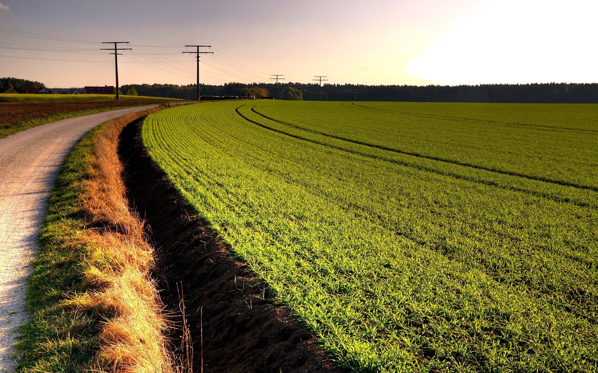 Dirt road next to a green field with power lines HD Wallpaper