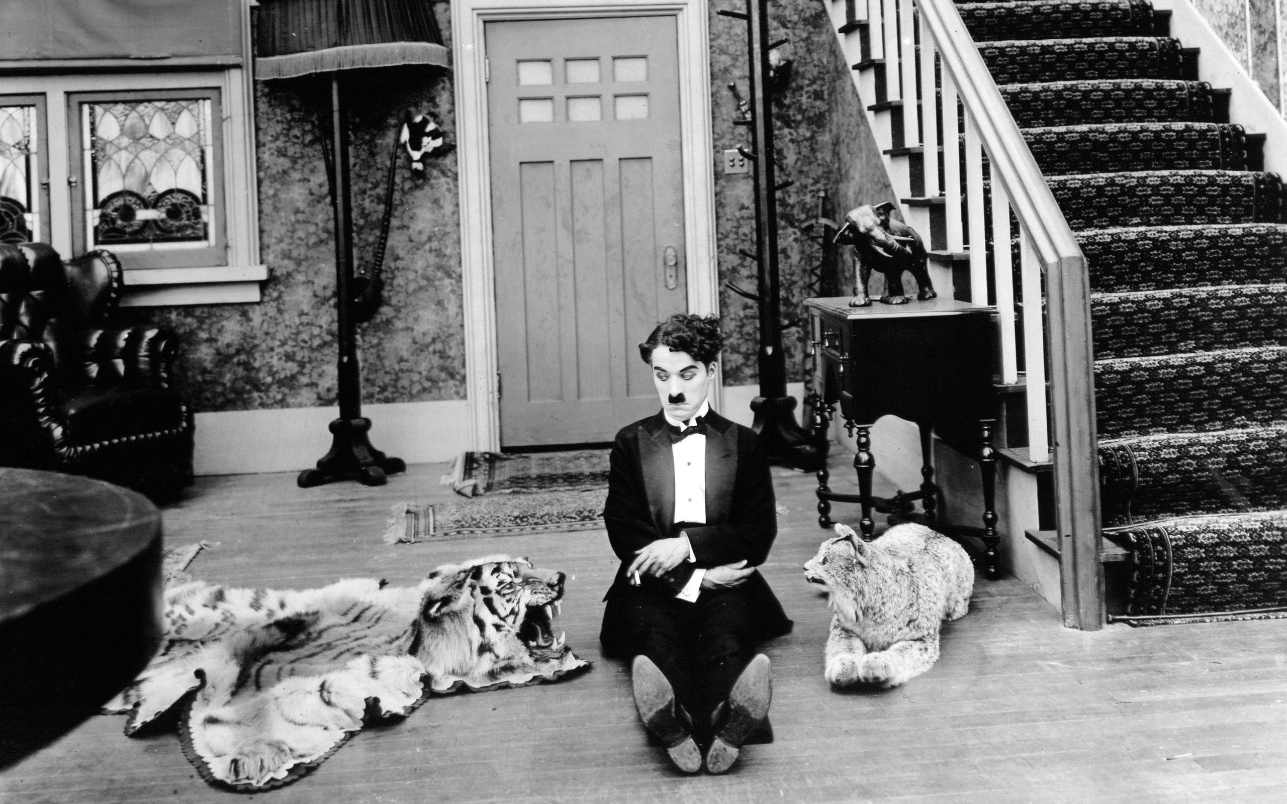 Charlie Chaplin sitting on floor with animal rugs HD Wallpaper