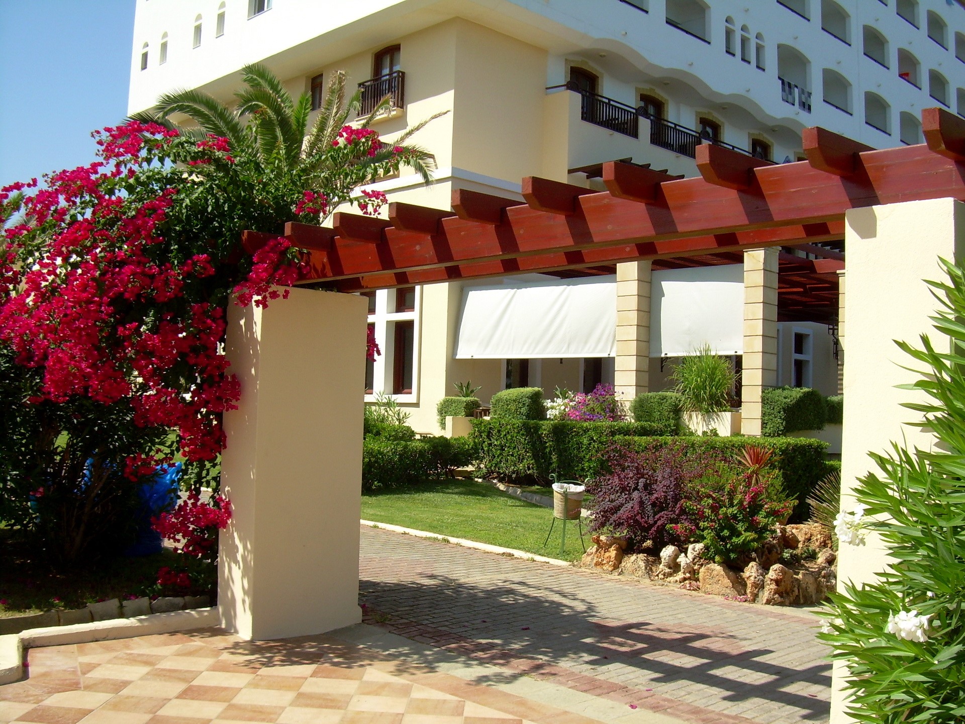 Hotel entrance with bougainvillea and palm tree HD Wallpaper