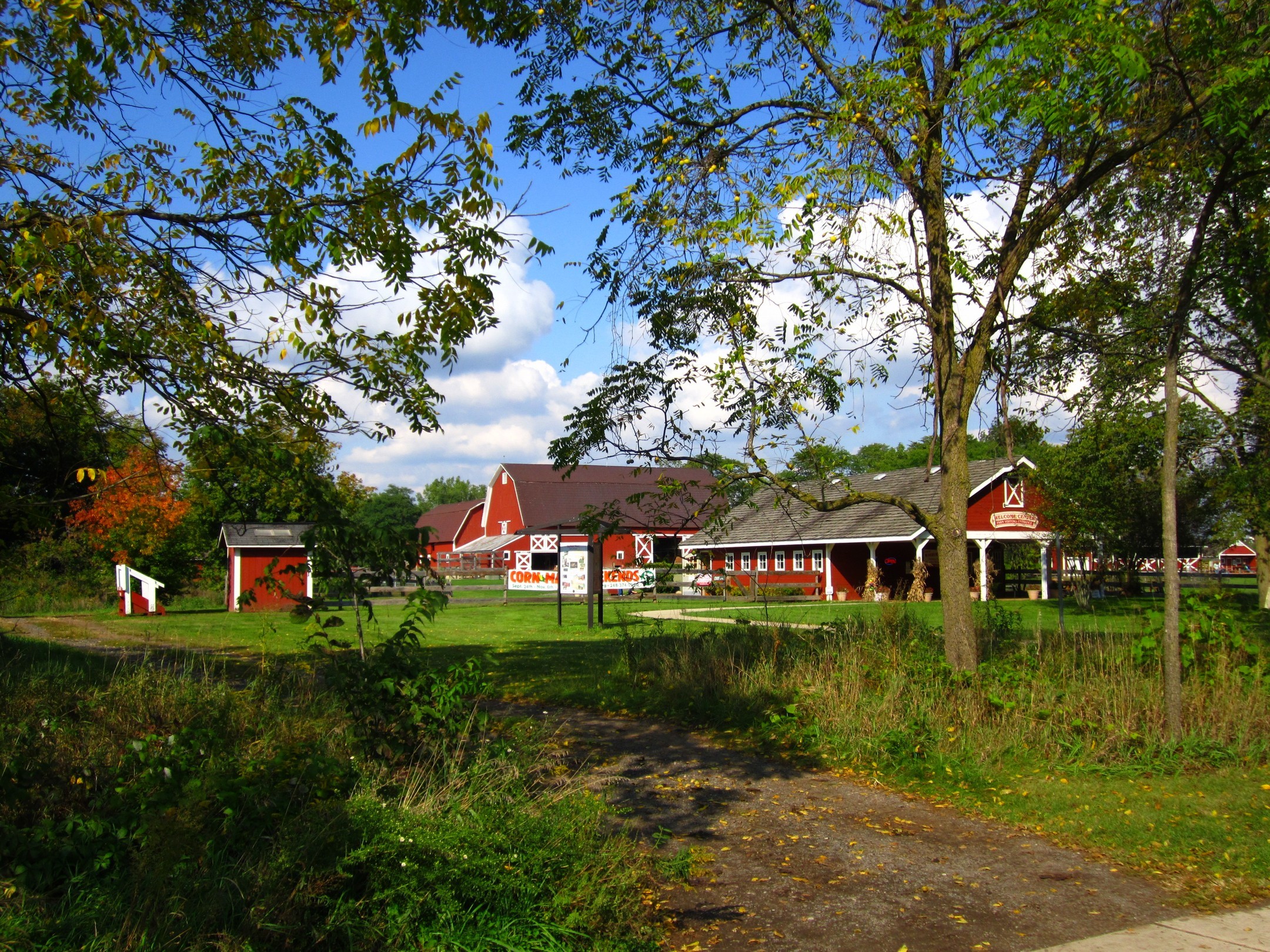 Red barns and trees on a sunny day in Michigan HD Wallpaper