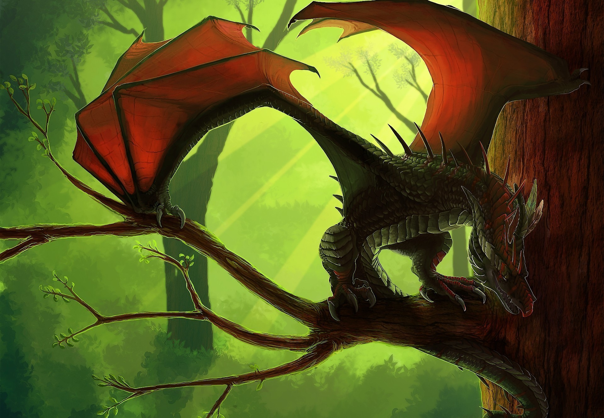 Dragon perched on a tree branch in a forest HD Wallpaper