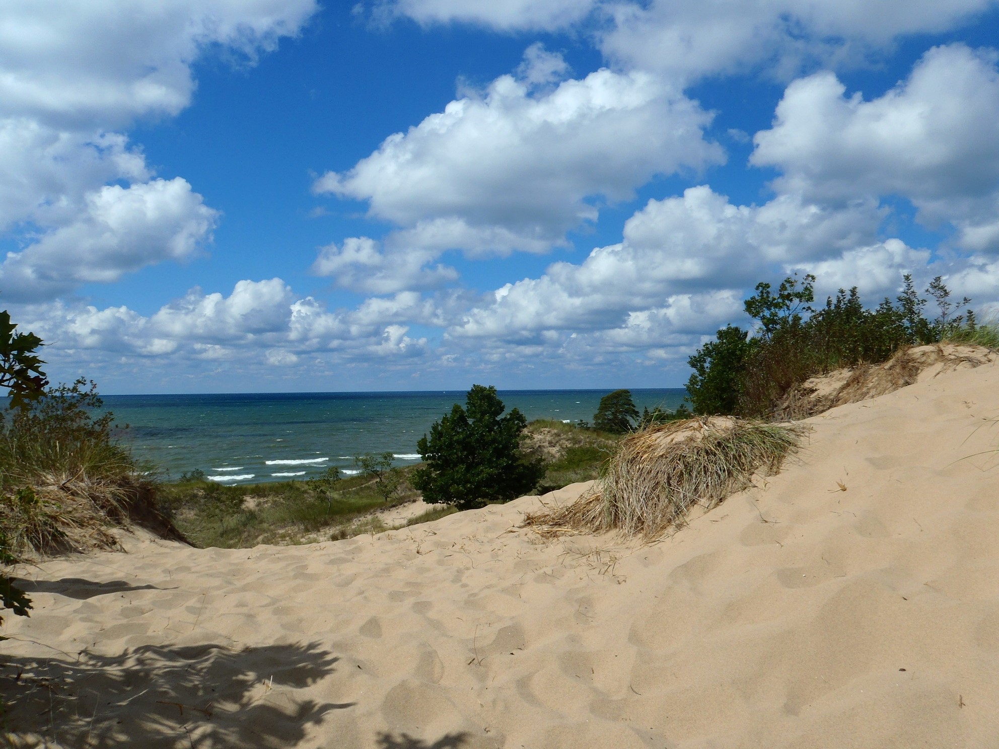 Sandy dunes and lake in Michigan, USA HD Wallpaper