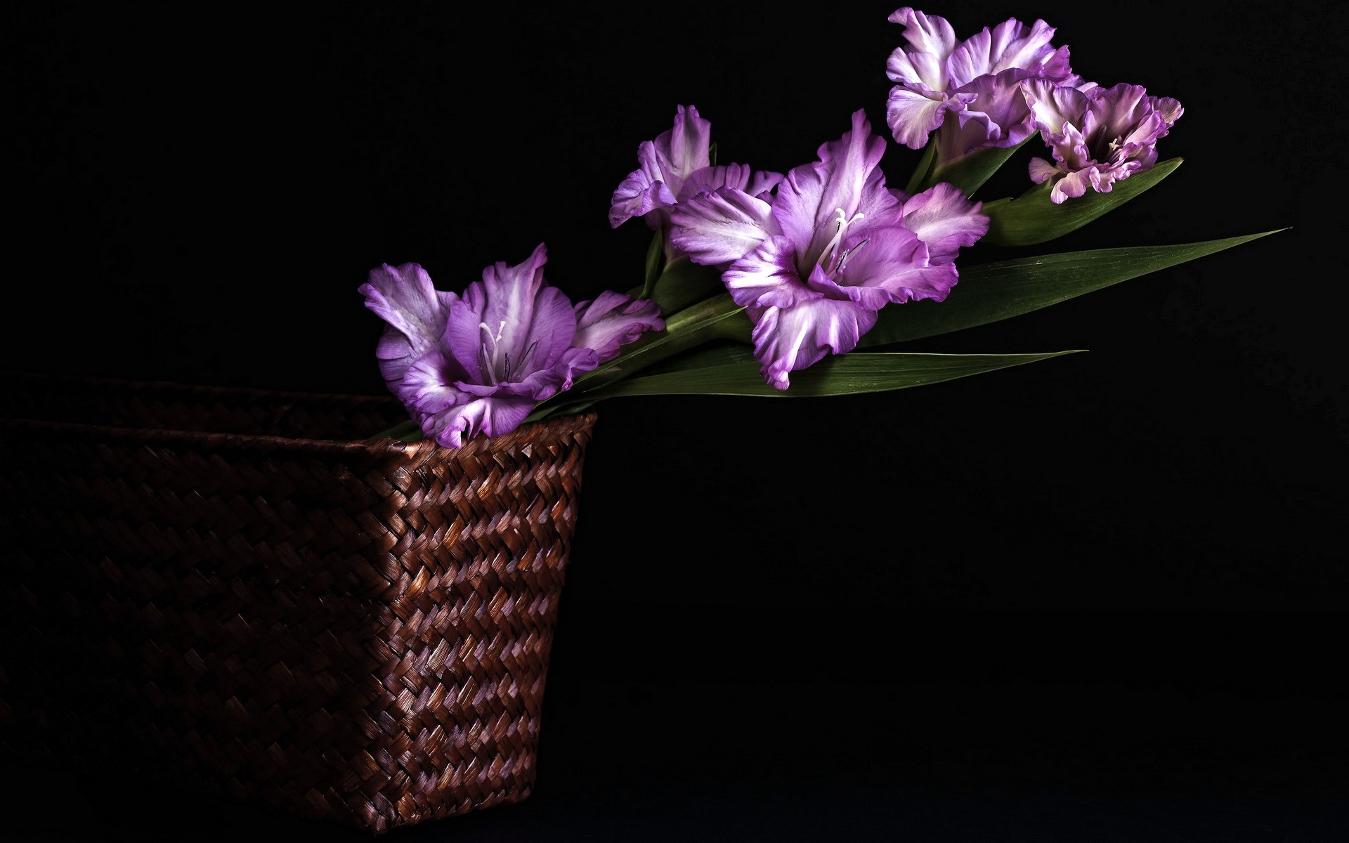 Purple Gladioluses in a Woven Basket HD Wallpaper