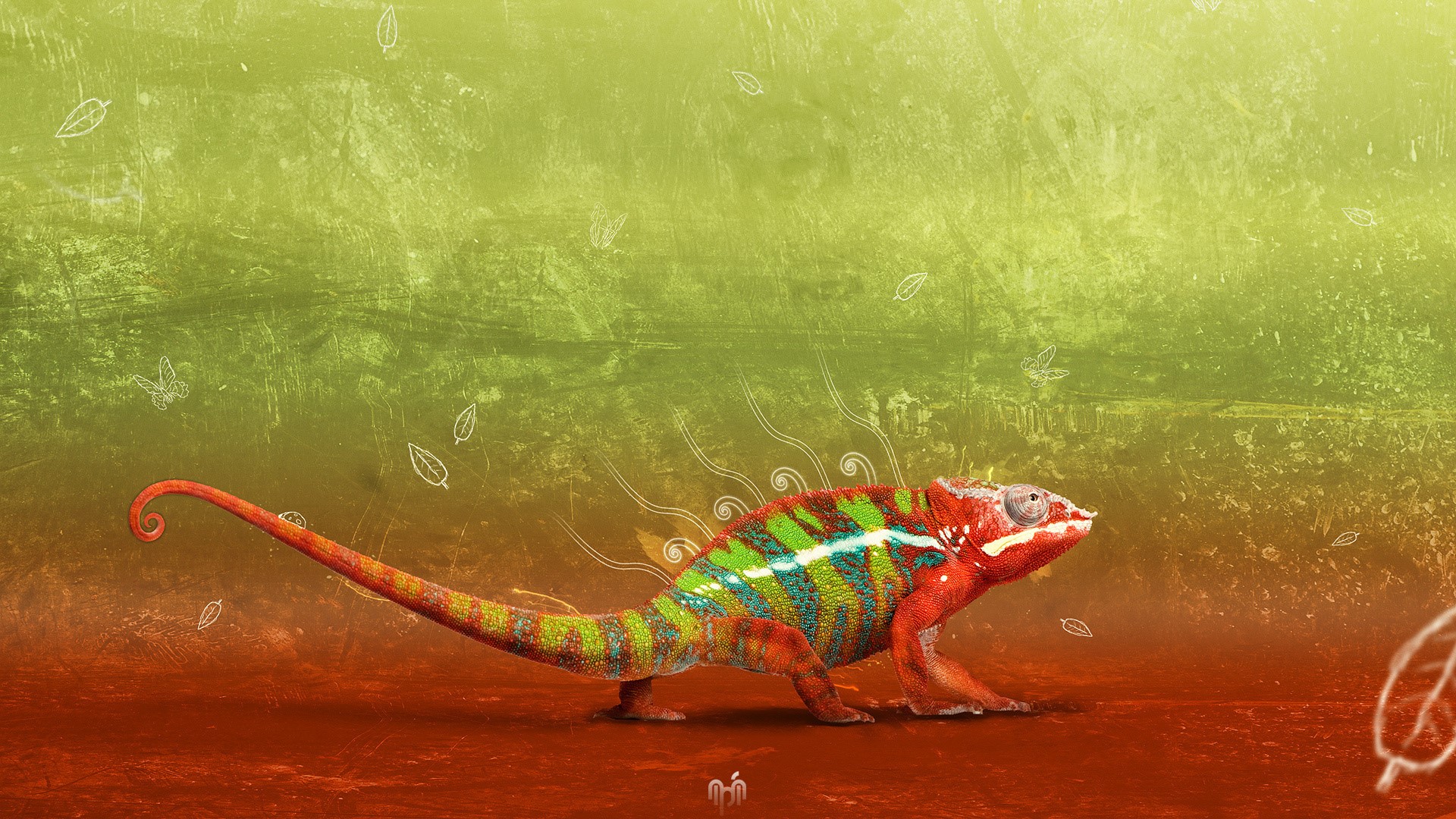 Chameleon with green and red stripes HD Wallpaper