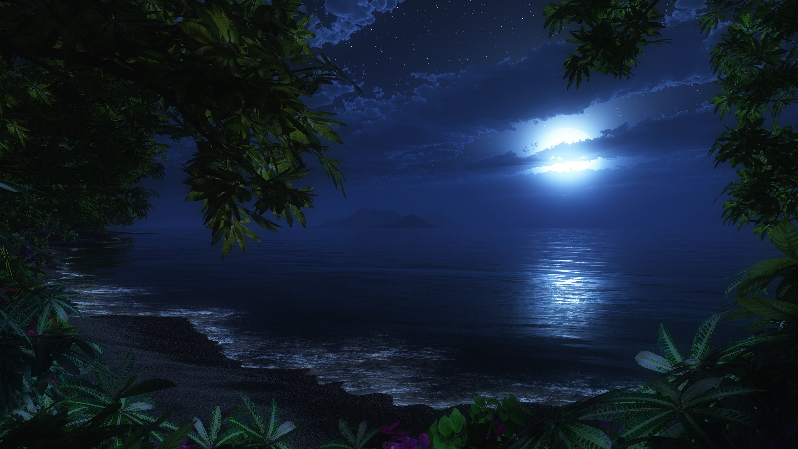 Tropical beach at night under the moon HD Wallpaper