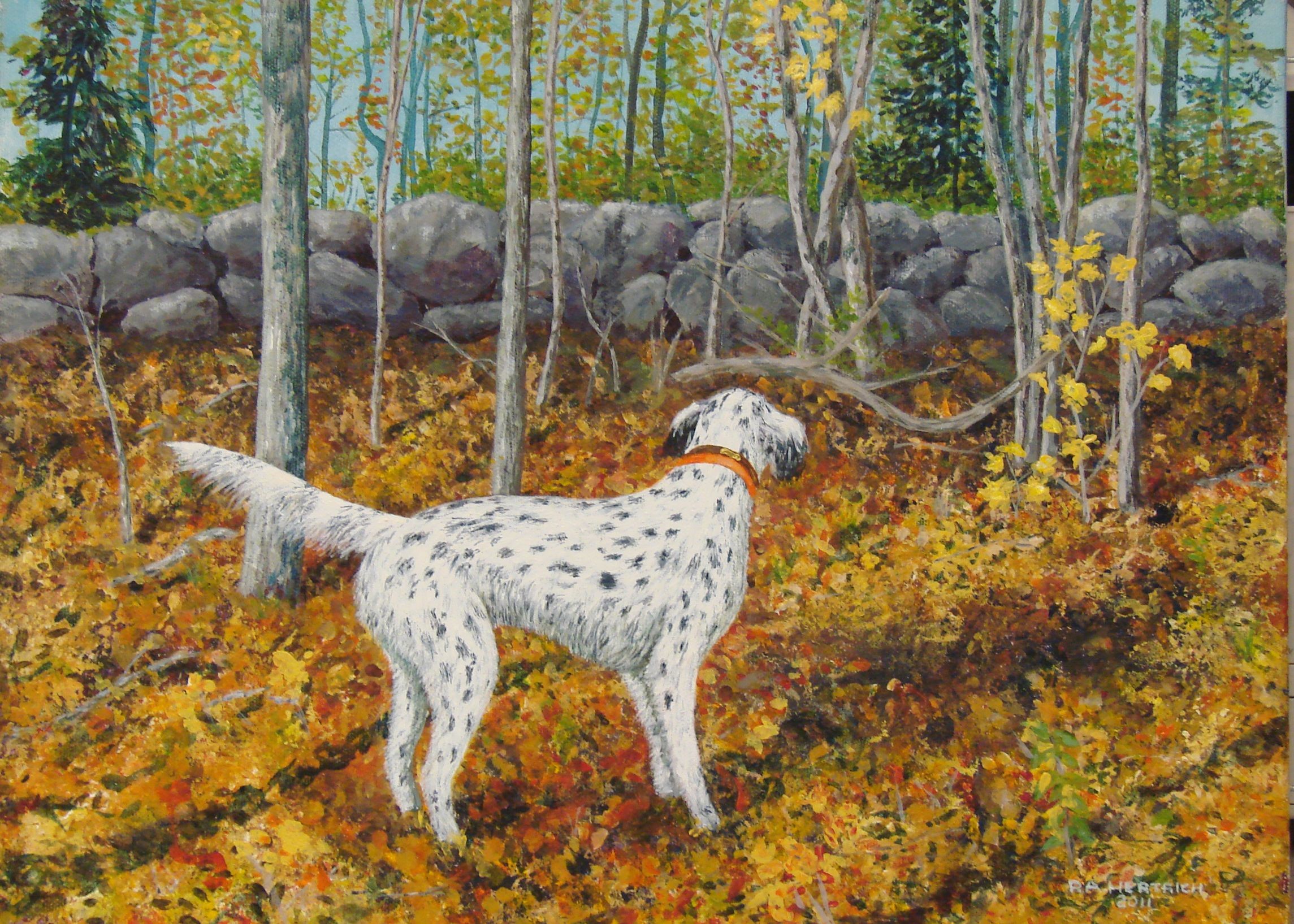 English Setter in Autumn Forest HD Wallpaper