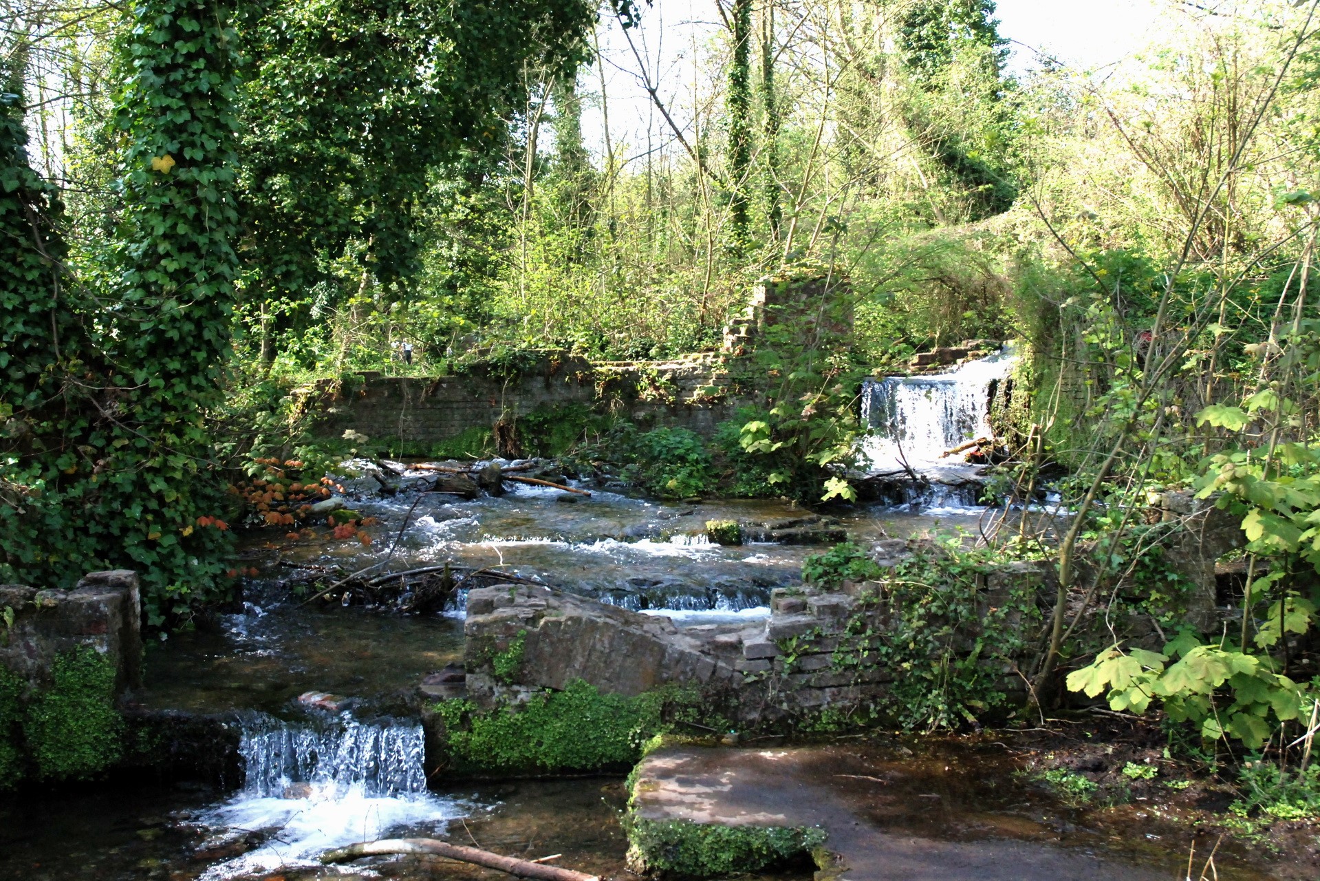 Ruins and waterfalls in a forest HD Wallpaper