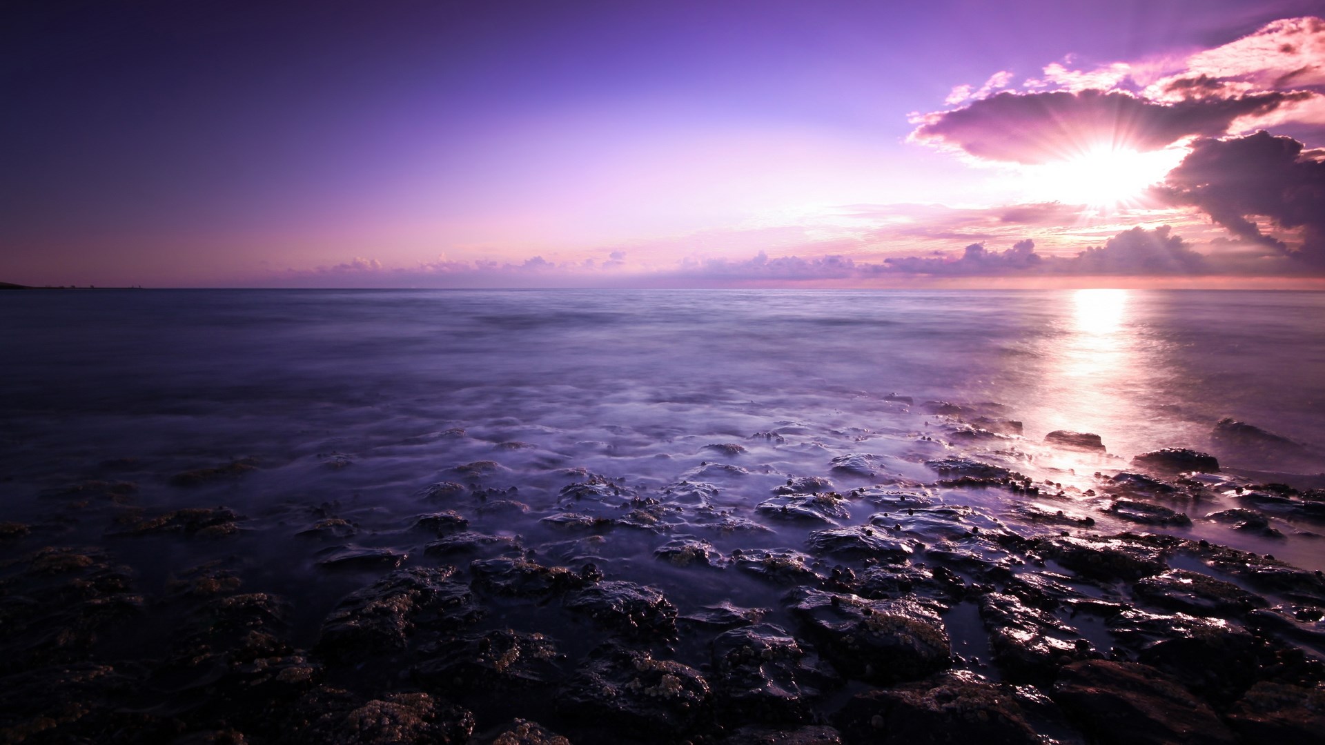 Purple sunset over rocky ocean shore HD Wallpaper