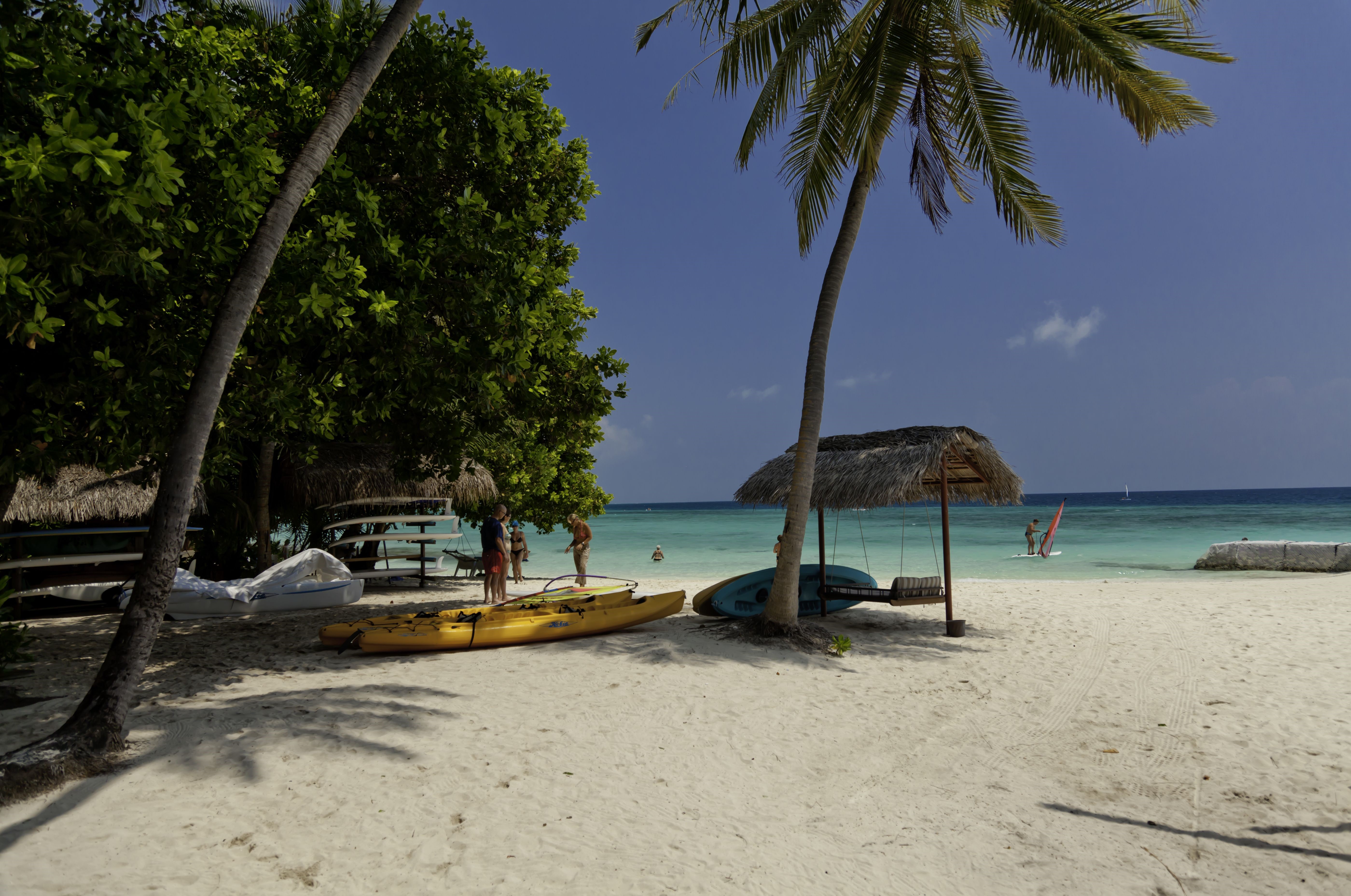 Tropical beach with kayaks and windsurfers HD Wallpaper