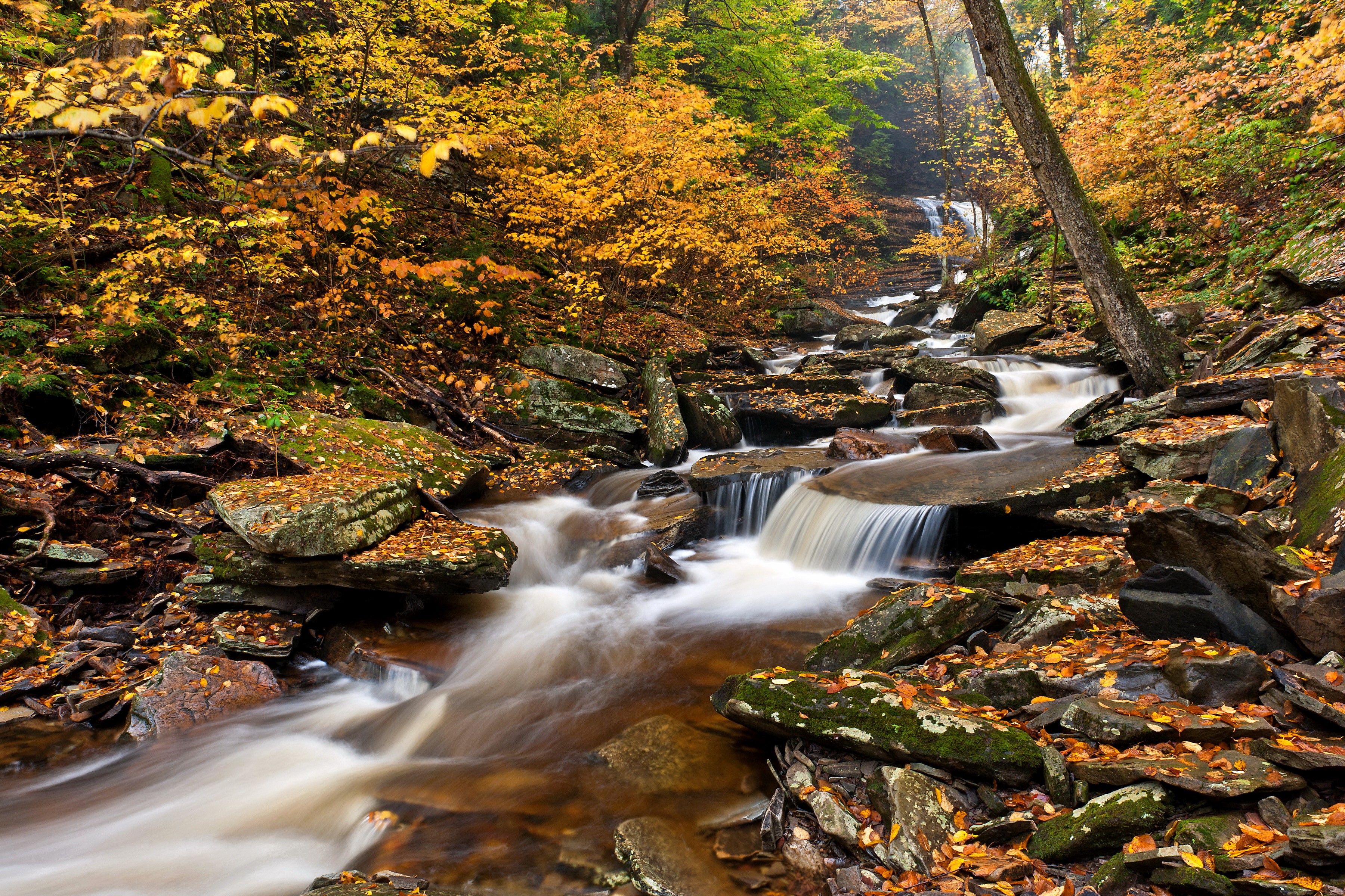 Ricketts Glen State Park Waterfalls in Autumn HD Wallpaper