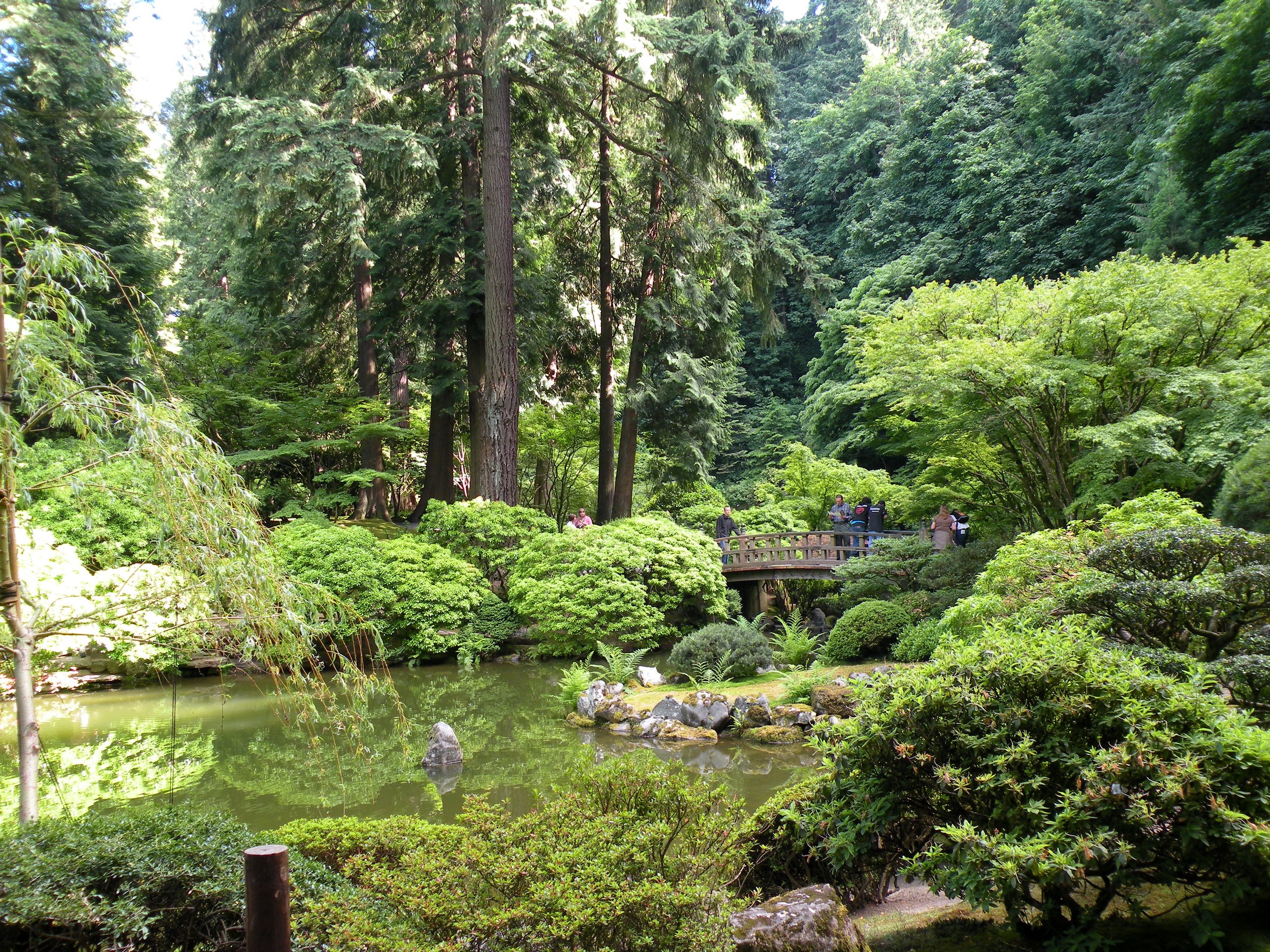 Japanese Garden with Pond and Bridge HD Wallpaper