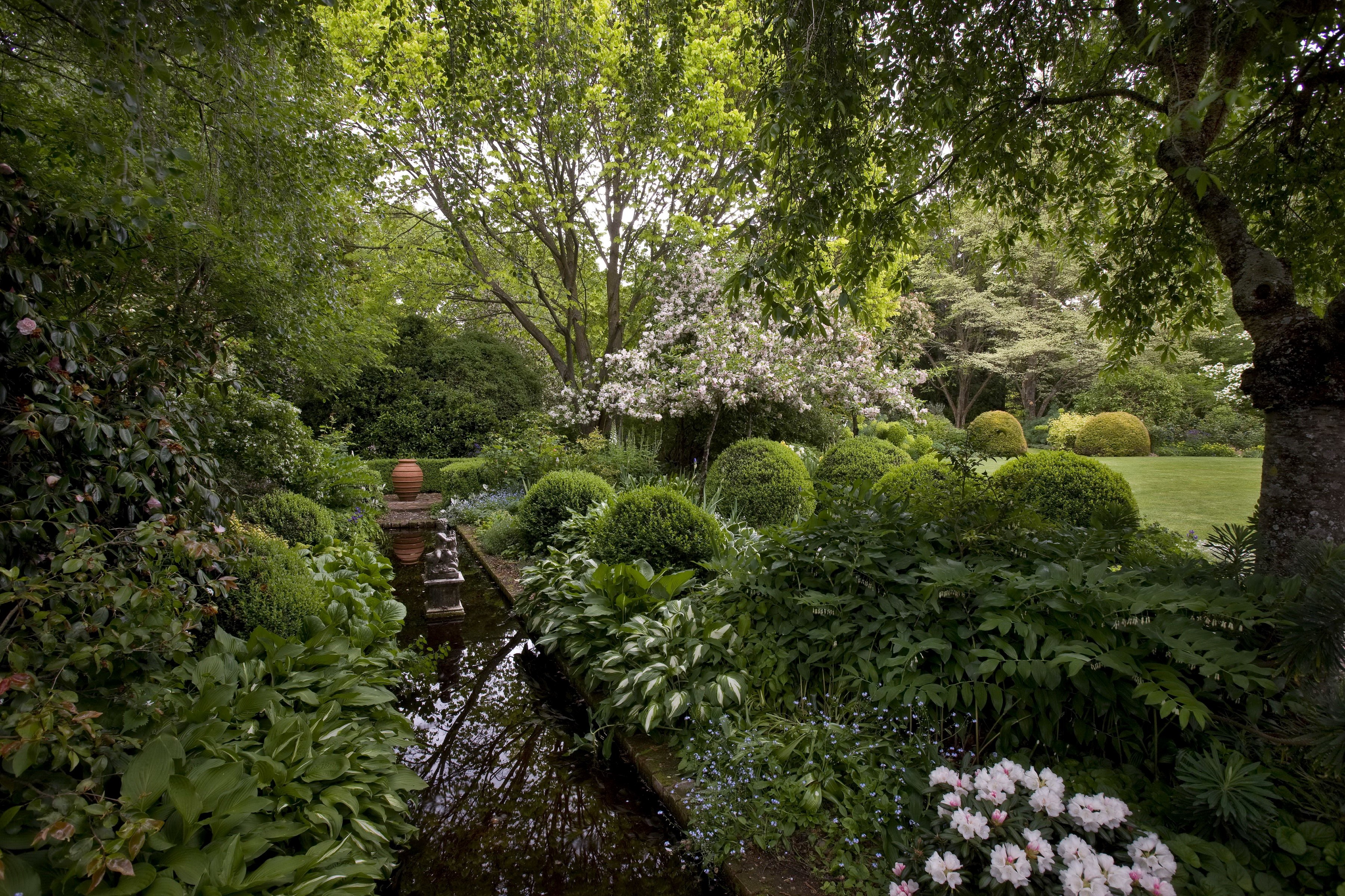 Garden in North Canterbury New Zealand HD Wallpaper