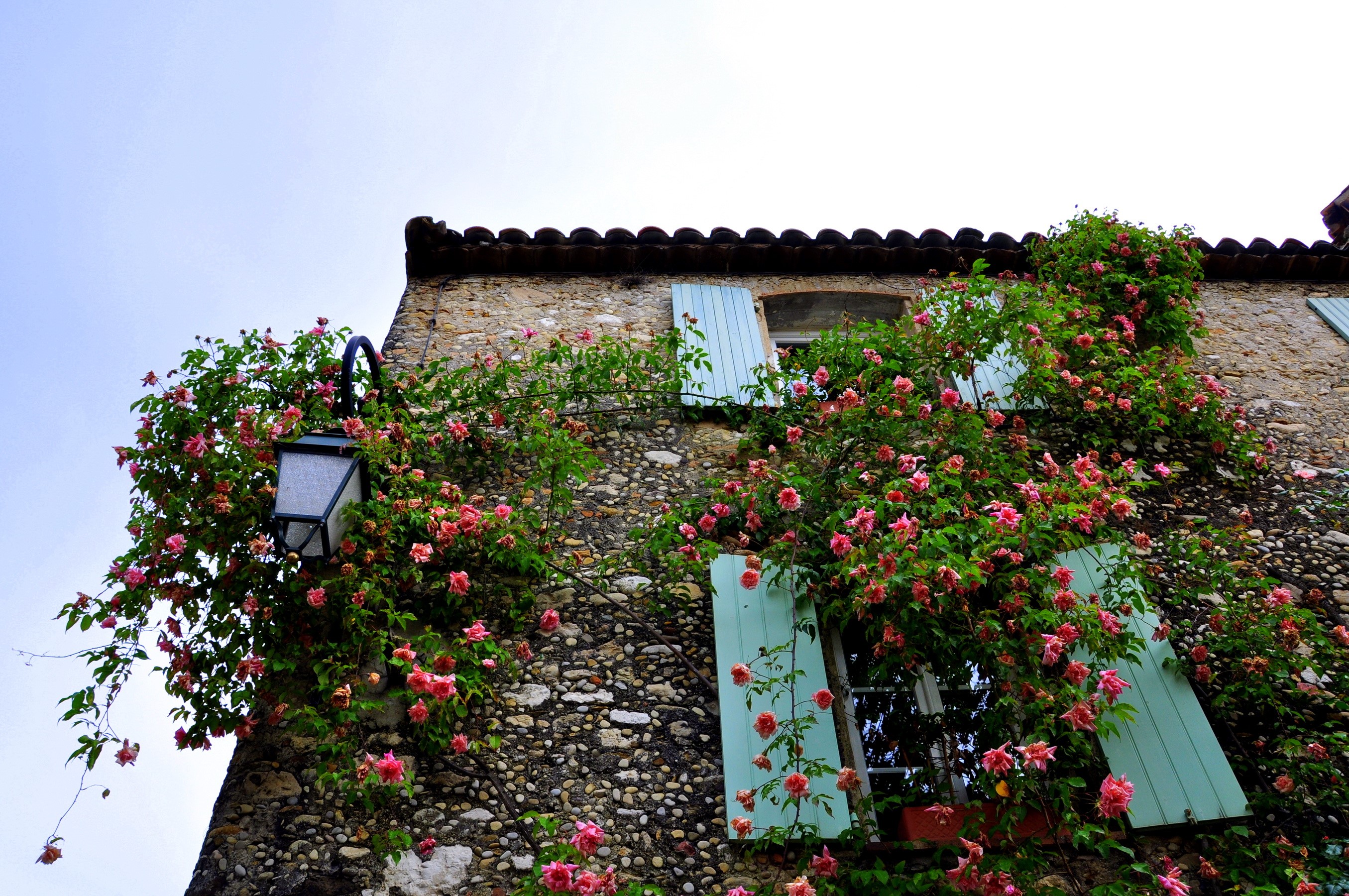 Stone house with climbing roses and shutters HD Wallpaper