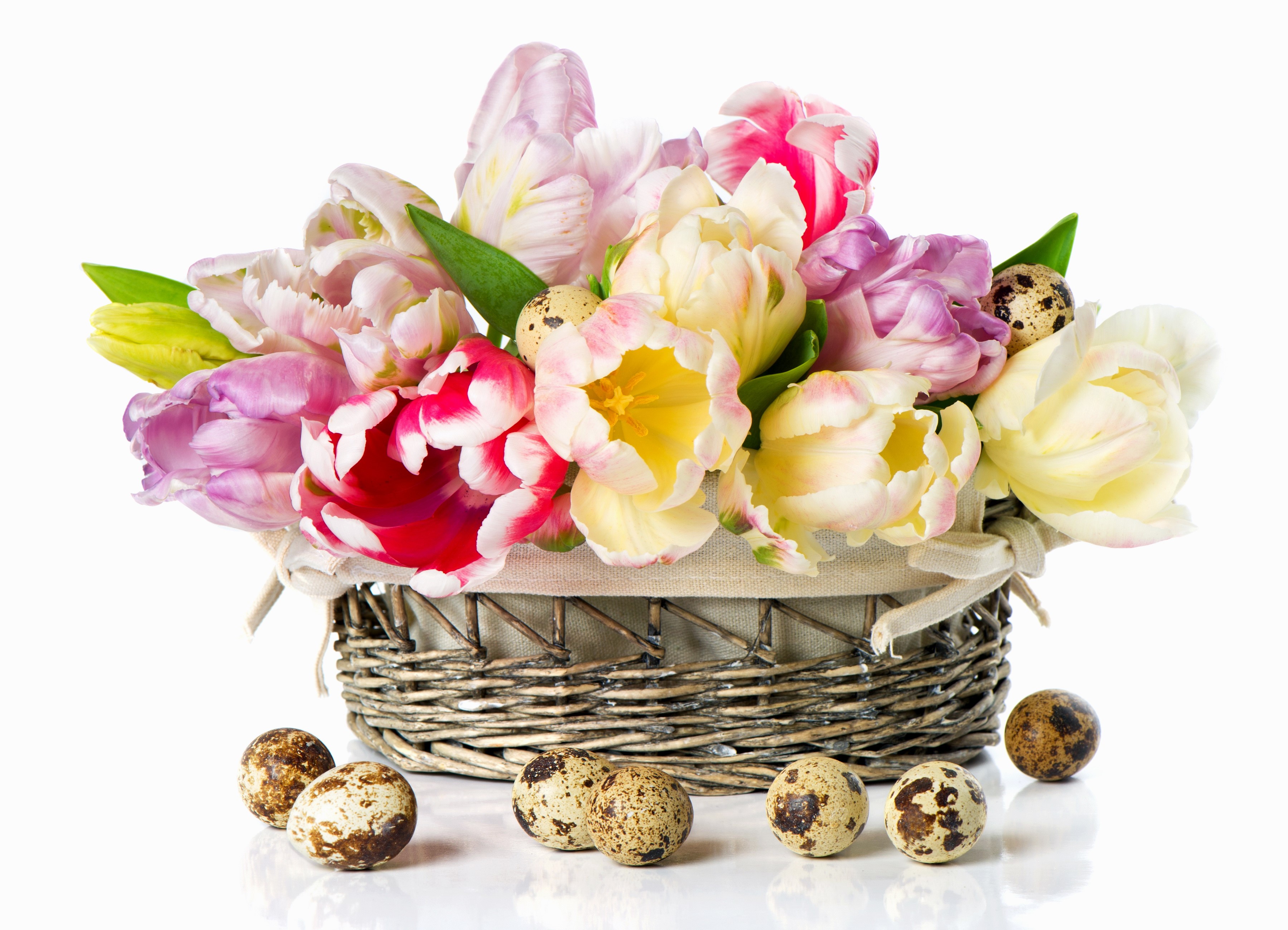 Easter basket with tulips and quail eggs HD Wallpaper