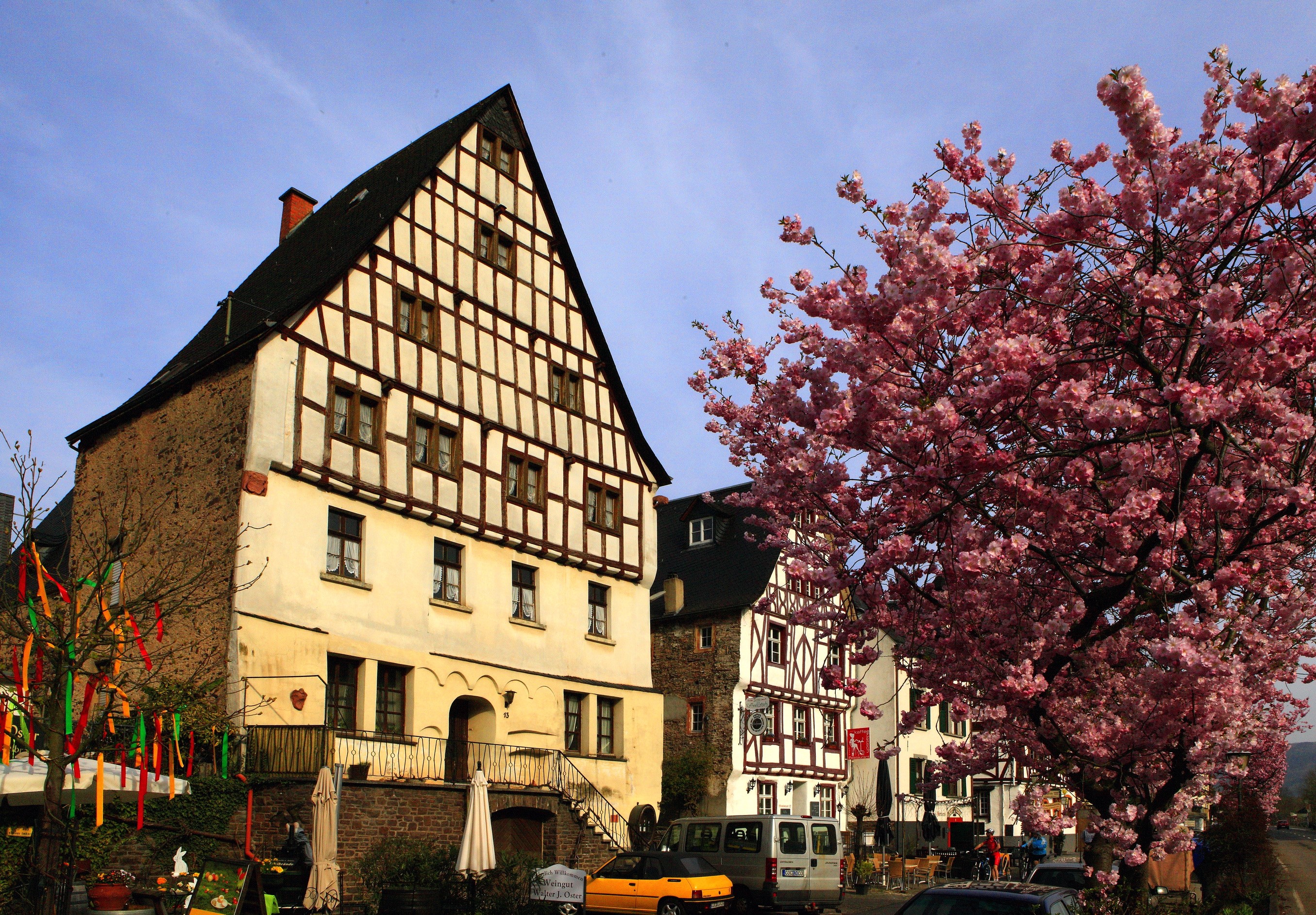 Half-timbered houses in Ediger-Eller, Germany with cherry blossoms HD Wallpaper