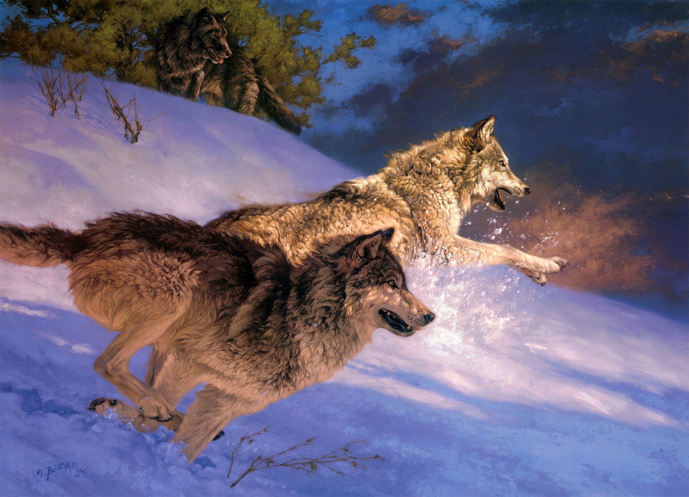 Wolves running down a snowy hill HD Wallpaper