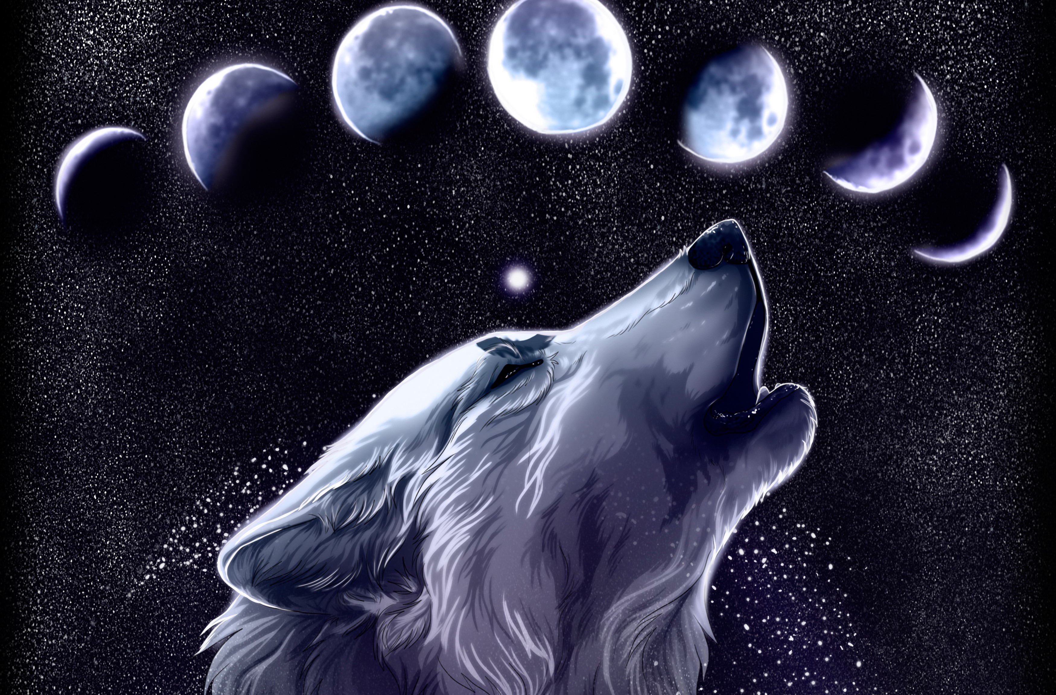 Wolf howling at the moon phases in starry night sky HD Wallpaper