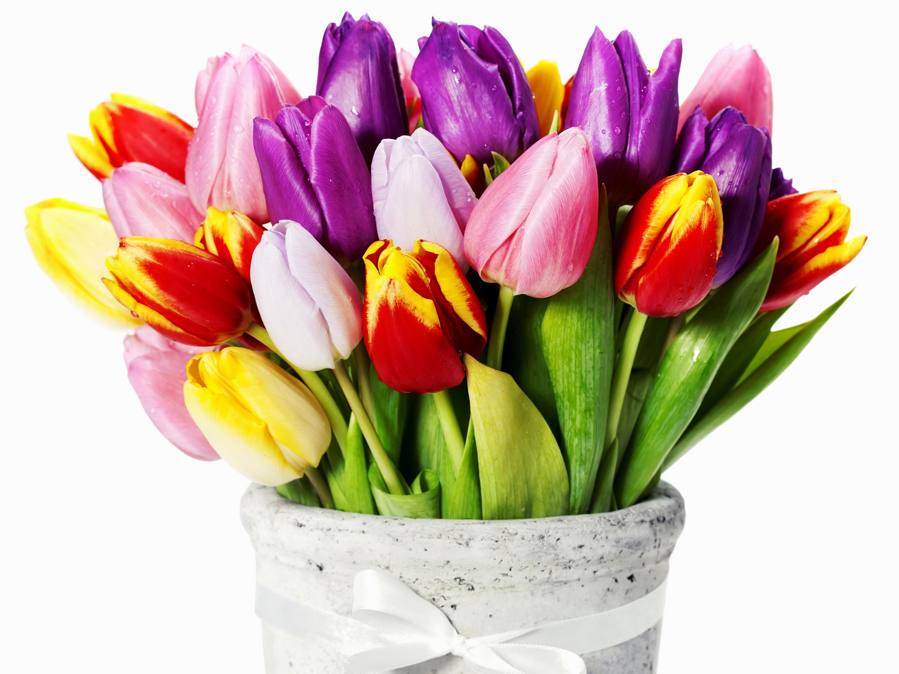 A bouquet of colorful tulips in a pot HD Wallpaper