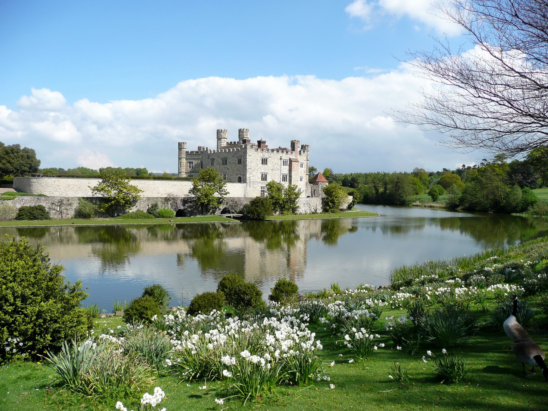 Leeds Castle in England with a moat and gardens HD Wallpaper