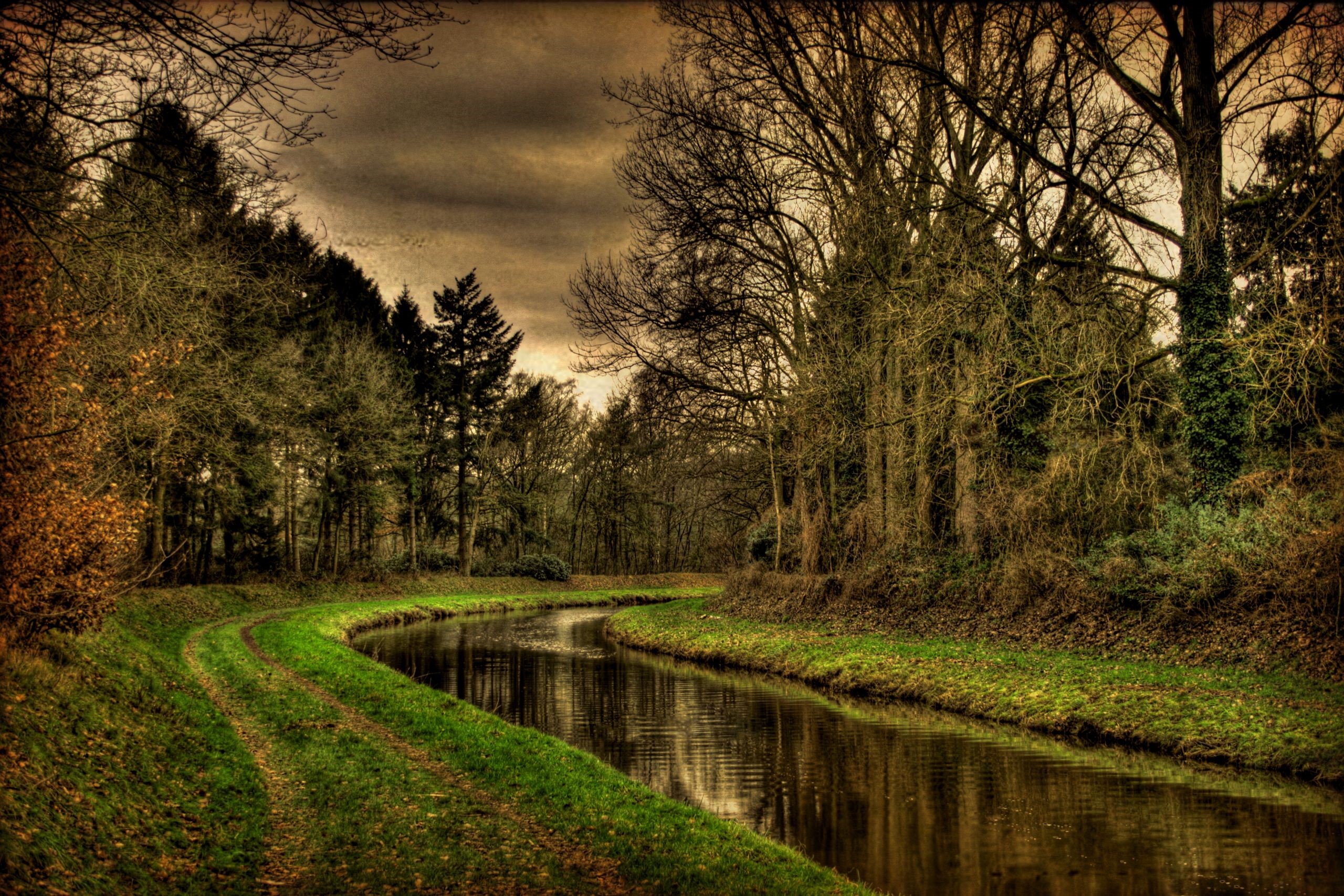 A winding canal through a forest HD Wallpaper