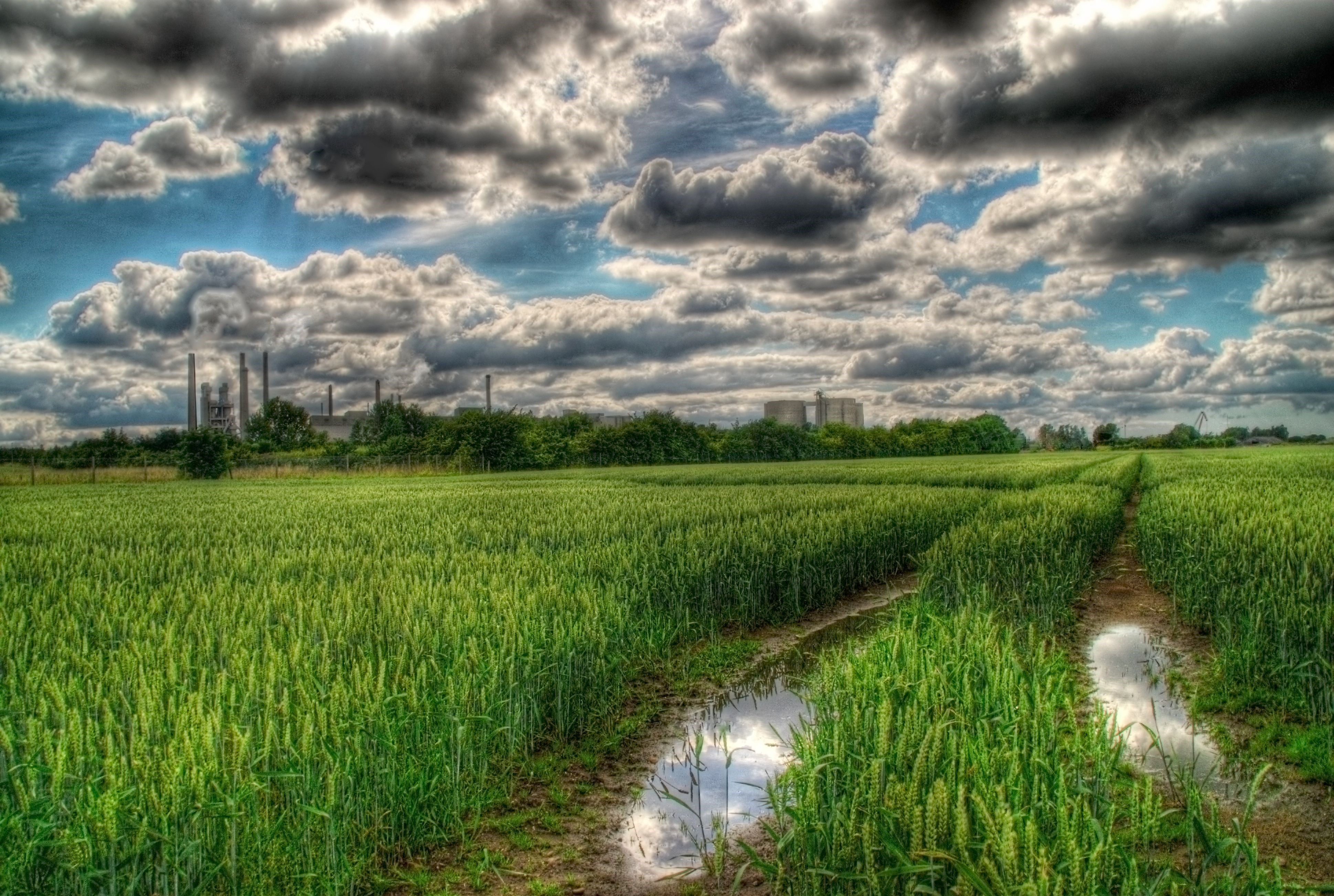 Wheat field with industrial background under cloudy sky HD Wallpaper