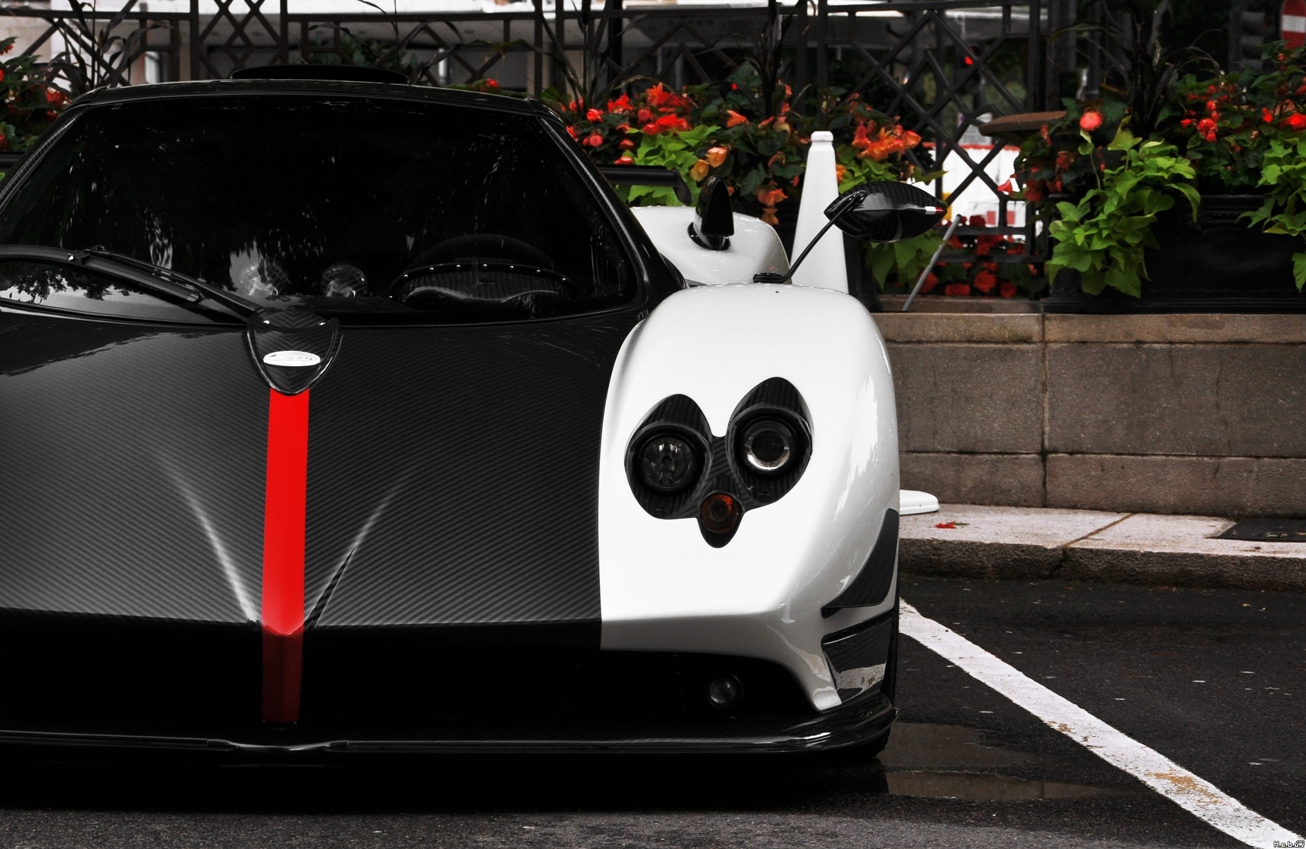 Pagani Zonda front view with red stripe HD Wallpaper