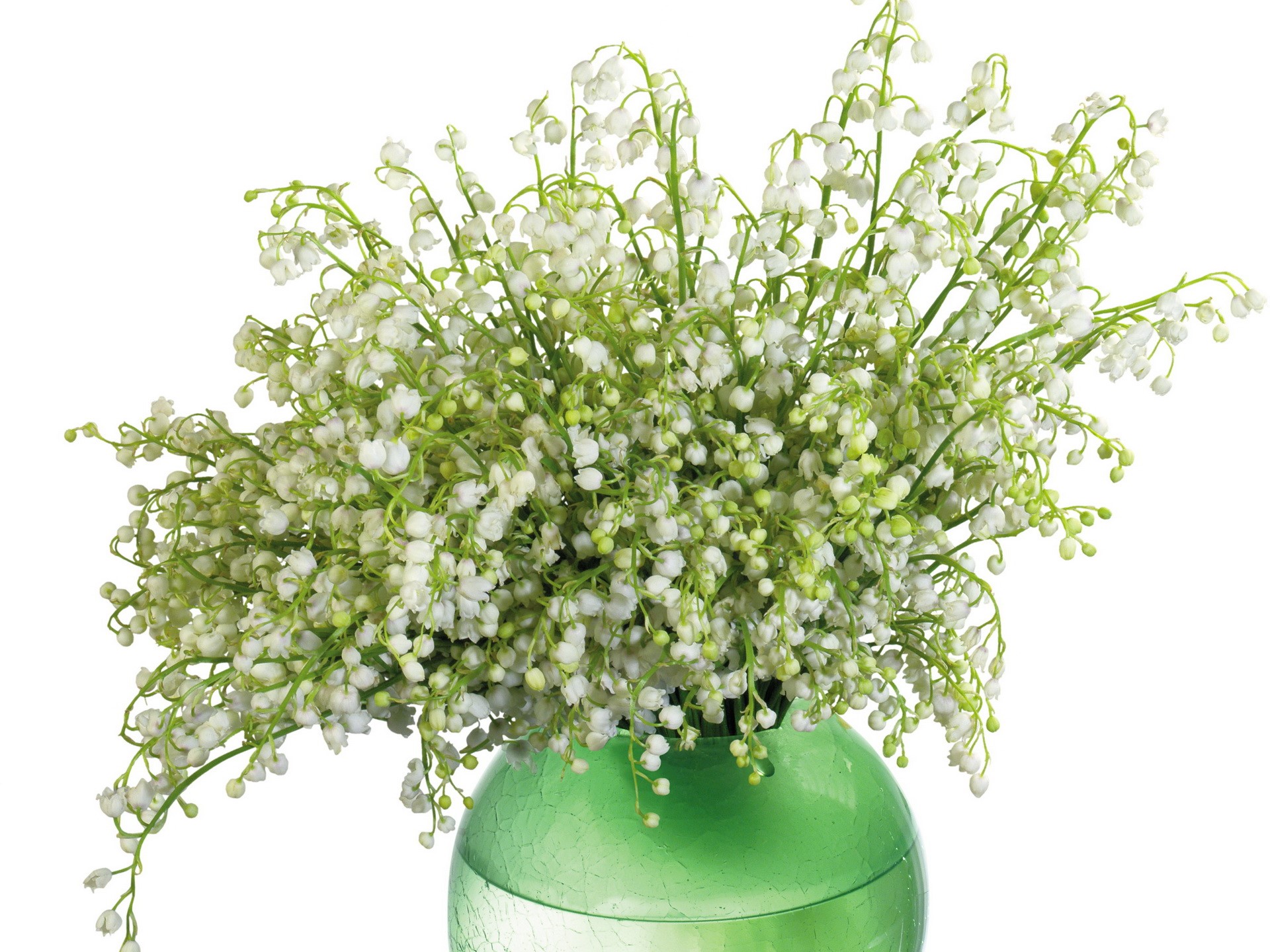 Lily of the valley flowers in a green vase HD Wallpaper