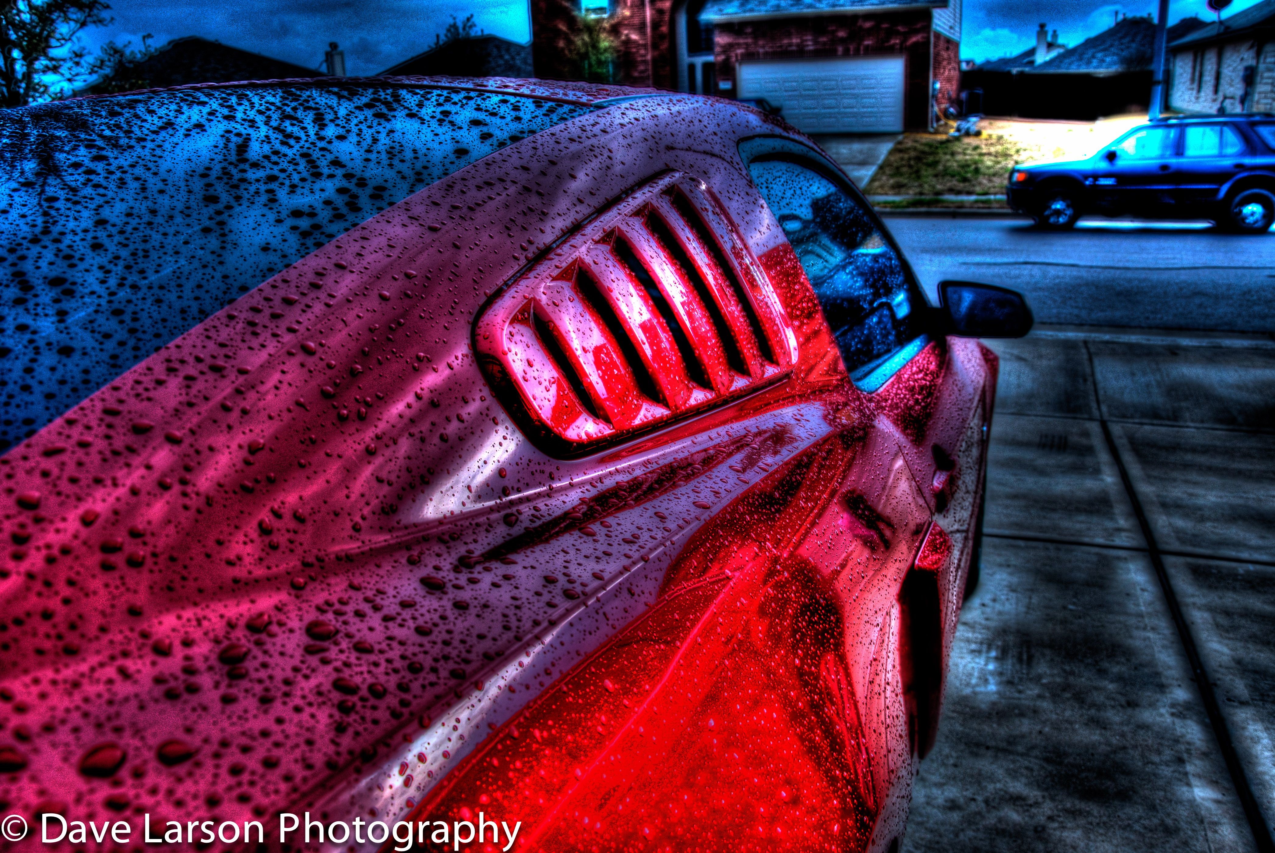 Red Ford Mustang with water droplets HD Wallpaper