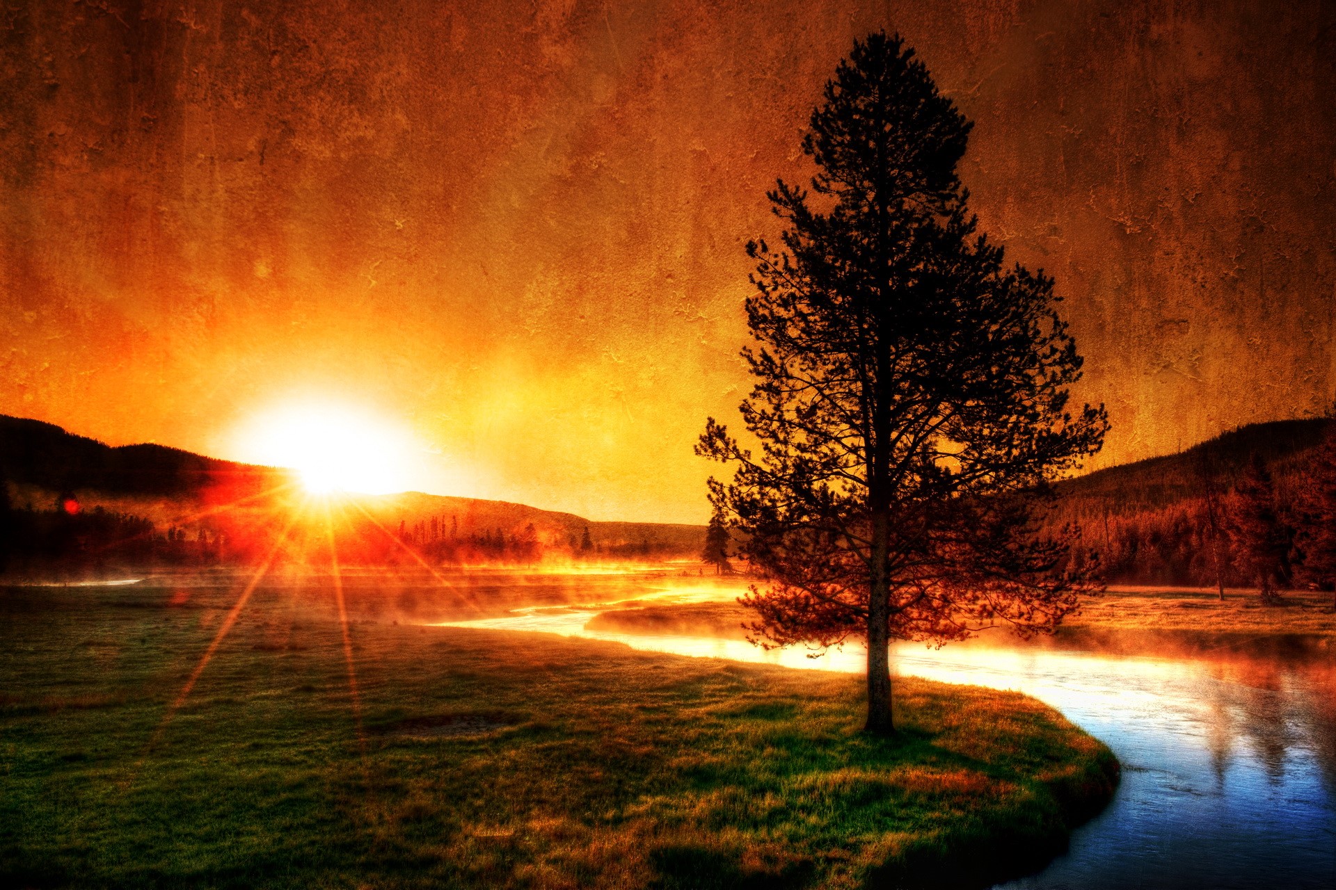 Sunrise over a misty river with a lone tree HD Wallpaper