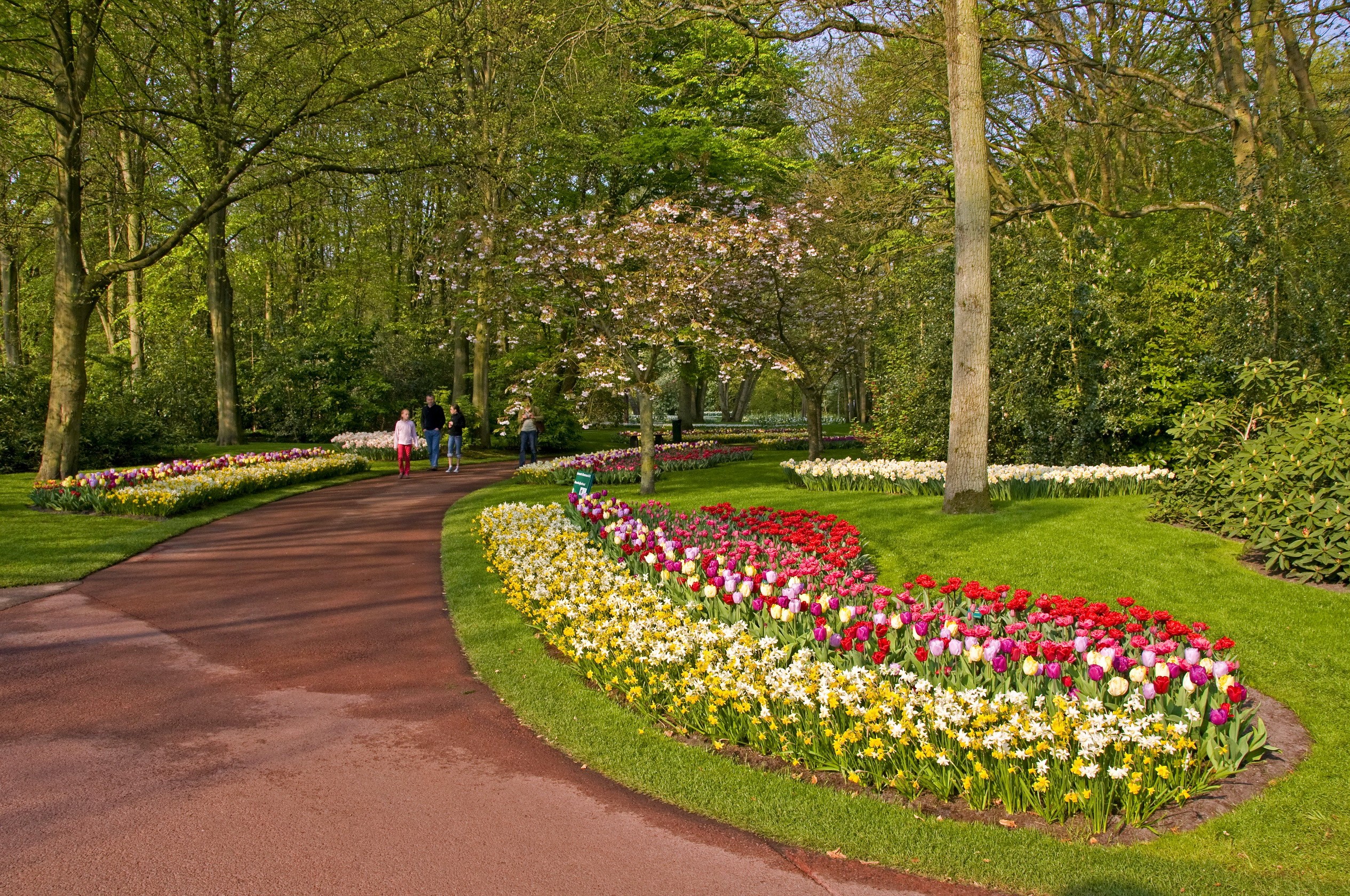 People walking in Keukenhof Gardens with tulips HD Wallpaper