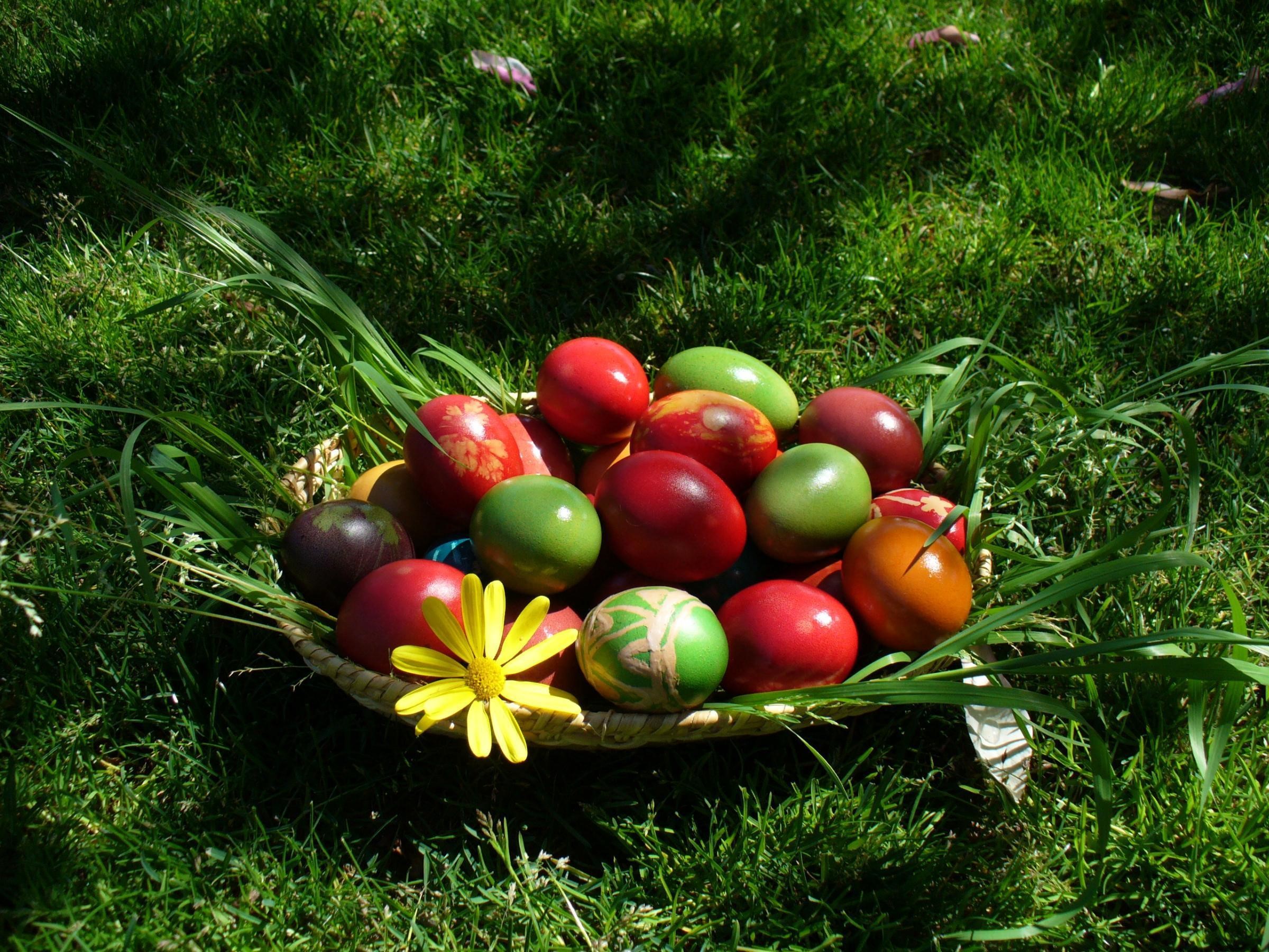 Easter eggs in a basket on grass HD Wallpaper