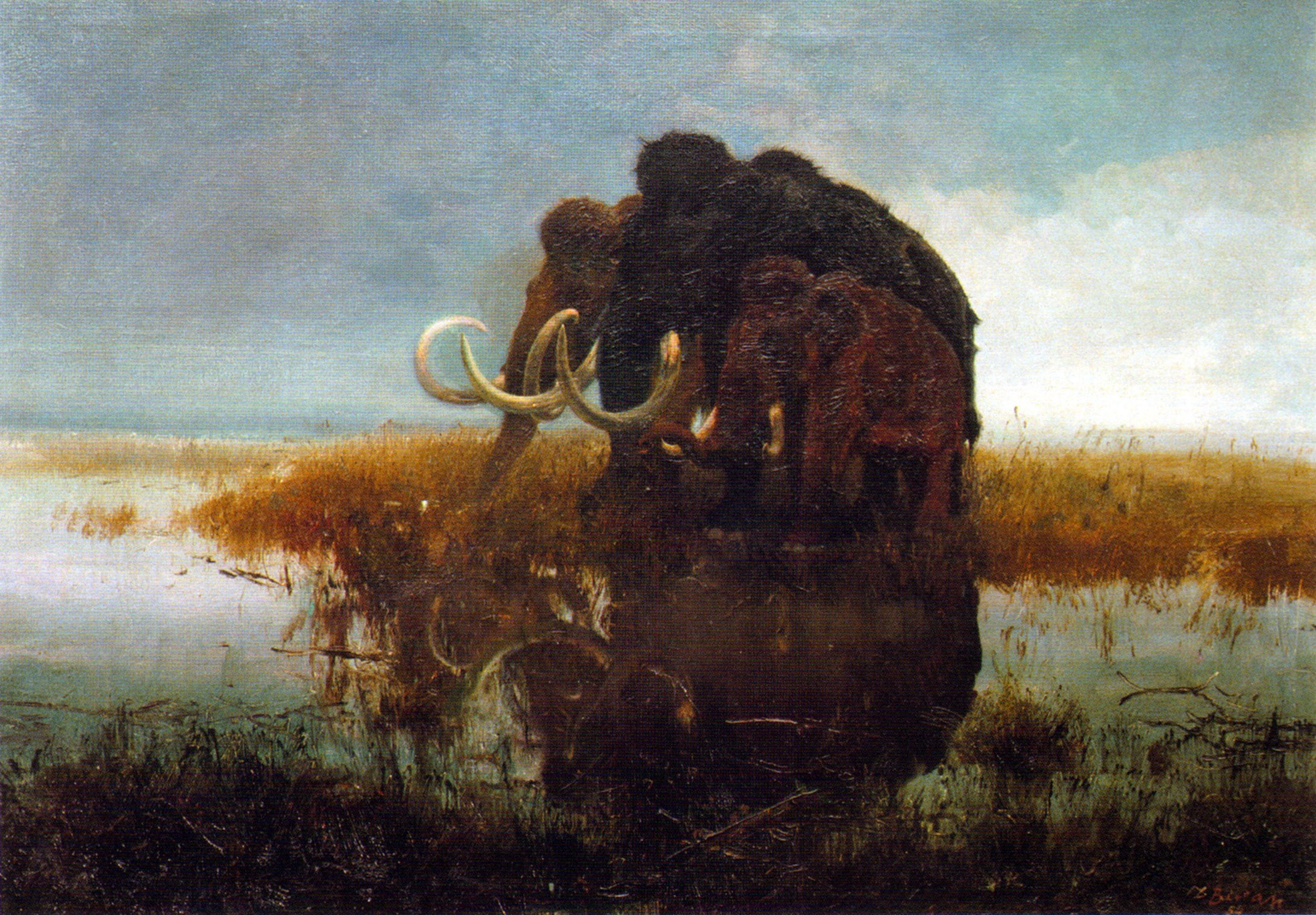 Mammoths in a swampy landscape HD Wallpaper