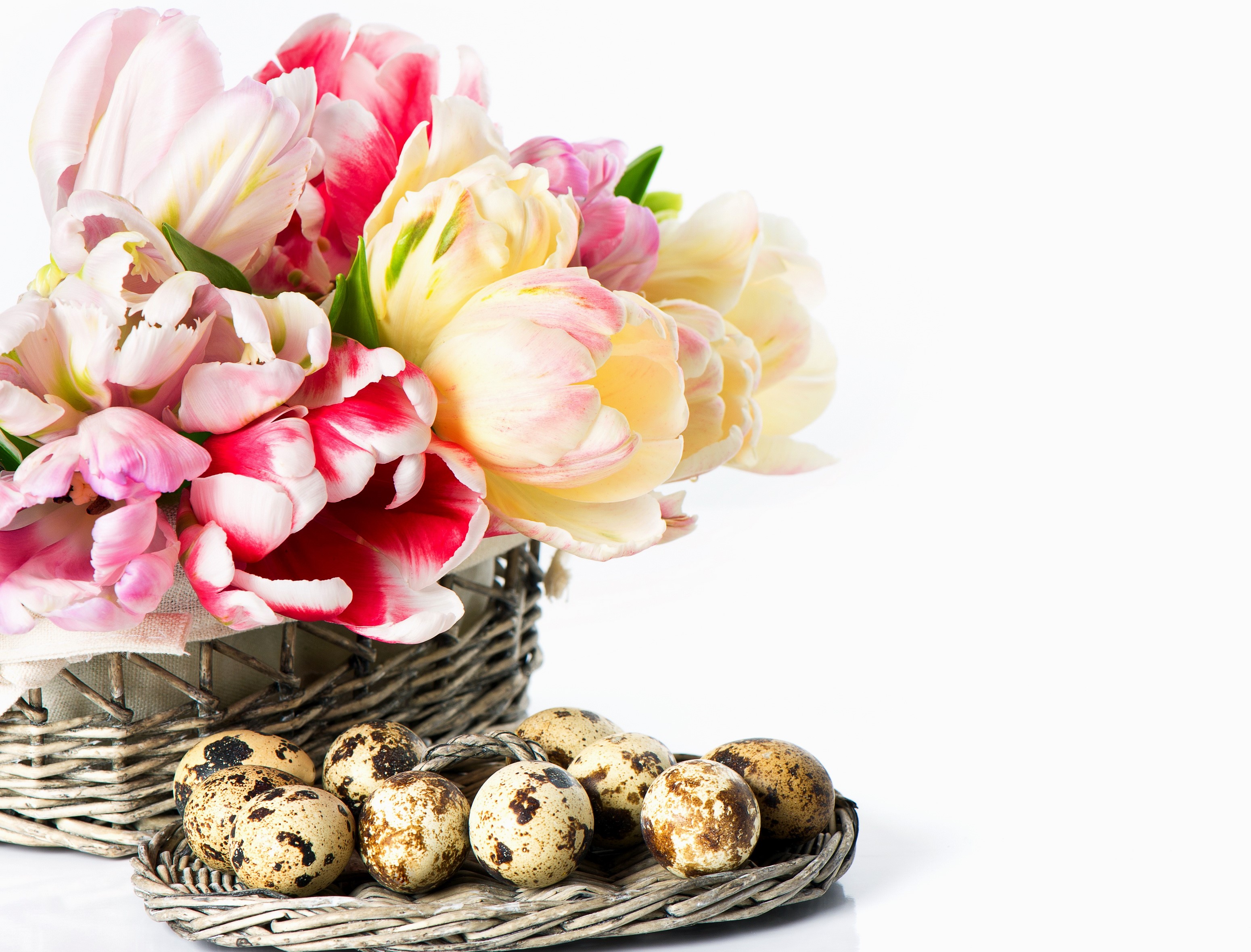 Basket of Tulips and Quail Eggs HD Wallpaper