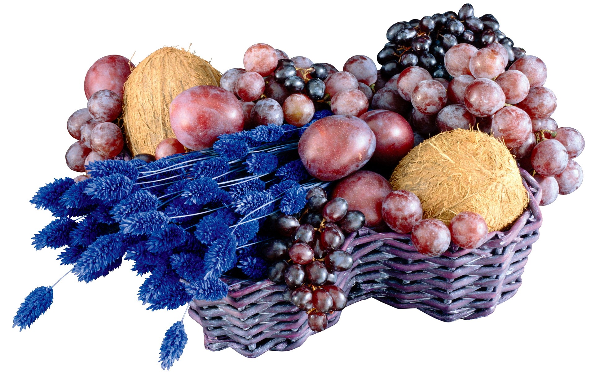 Fruit basket with grapes, plums, coconuts, and blue decorative plants HD Wallpaper