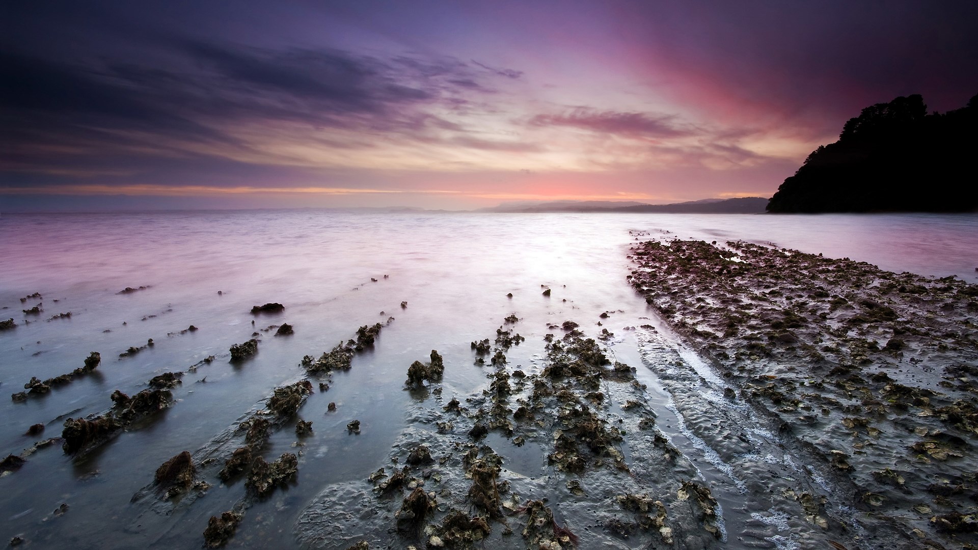 Rocky shore at sunset with purple and pink sky HD Wallpaper