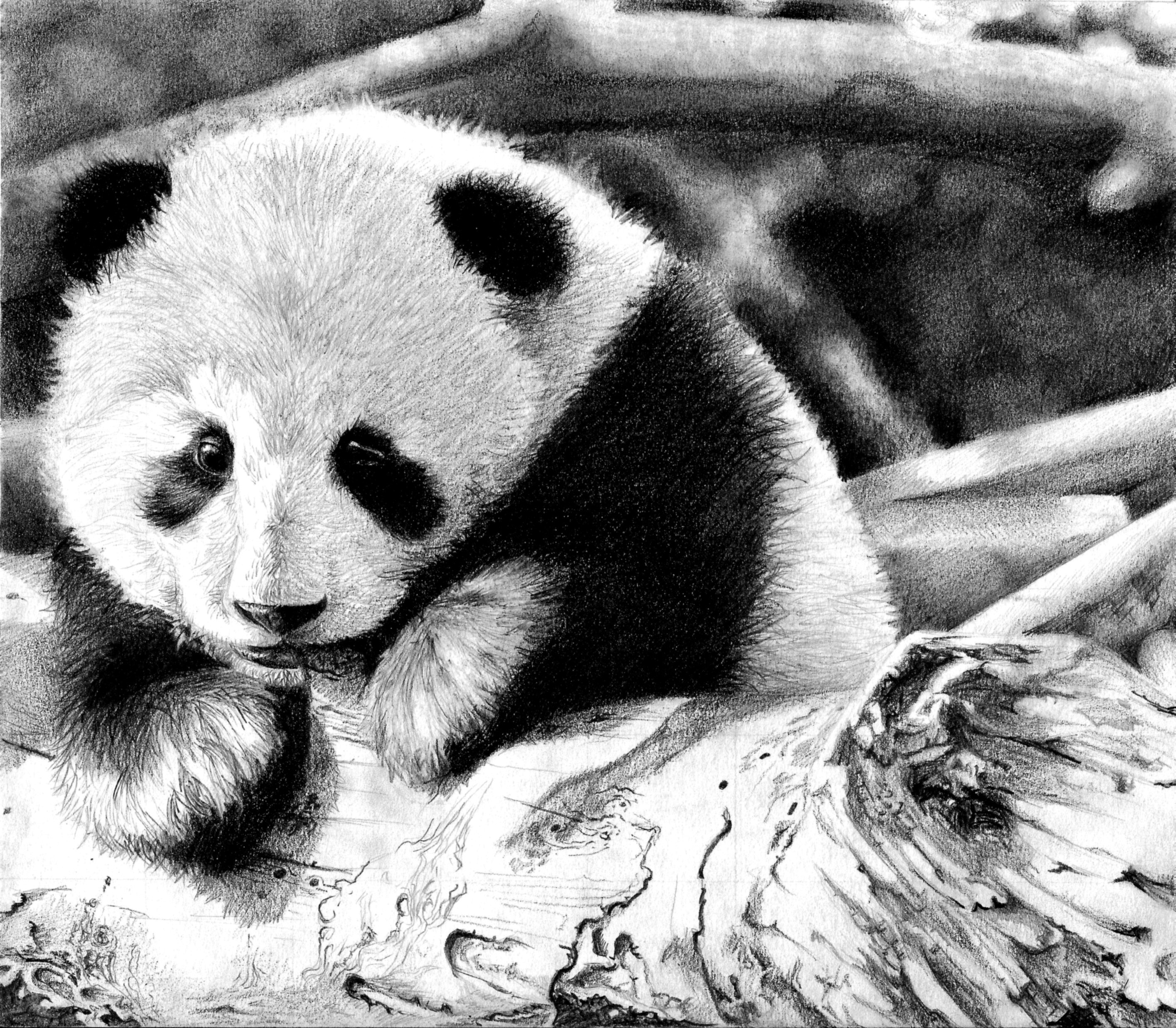 Panda cub resting on a log HD Wallpaper