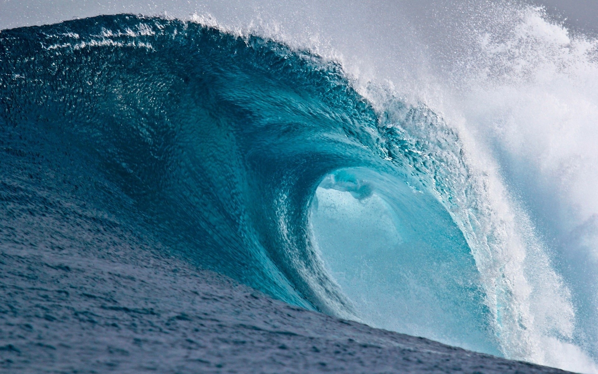 A powerful ocean wave barrels and breaks HD Wallpaper