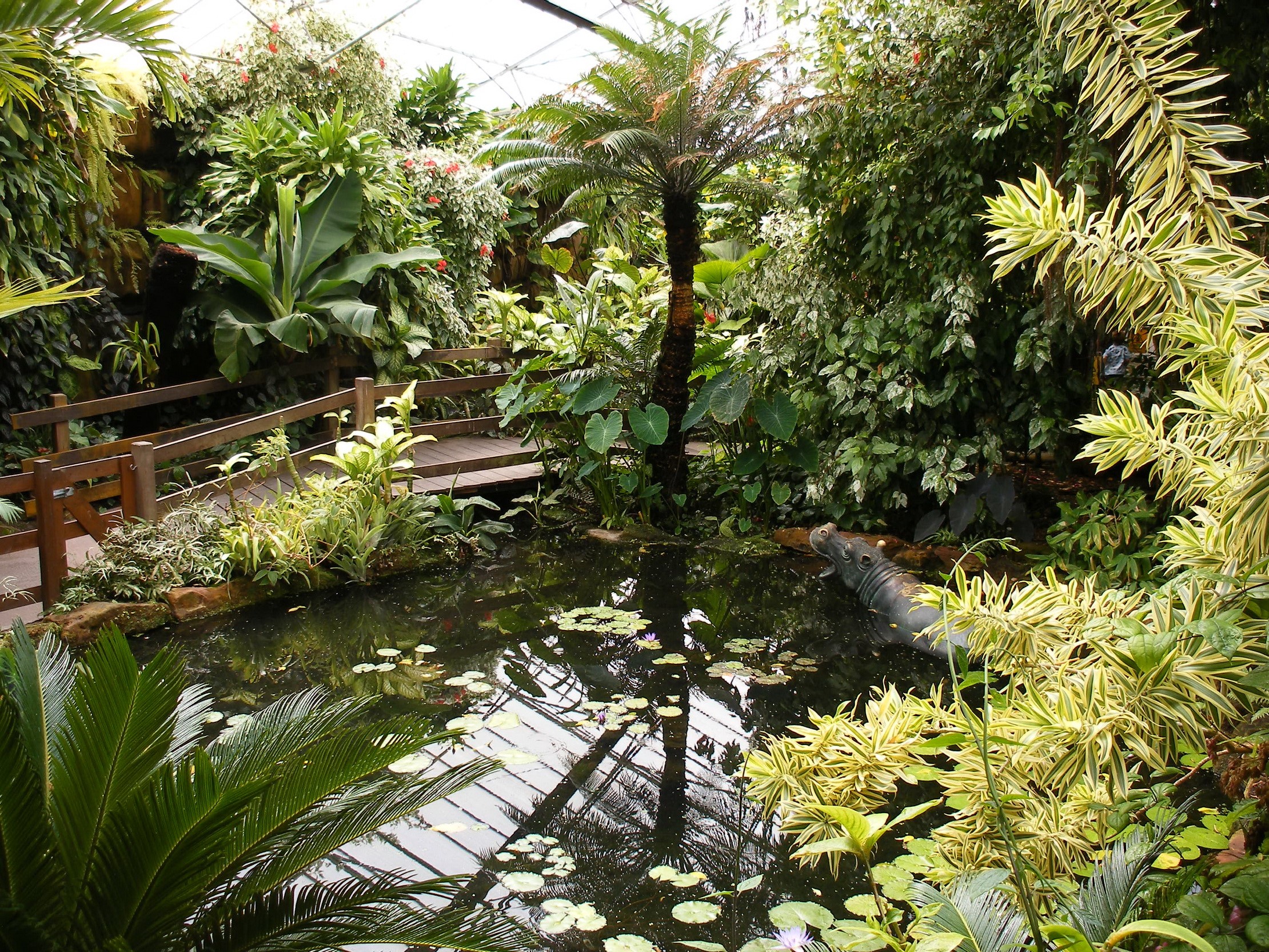 Tropical garden with pond and hippo statue HD Wallpaper