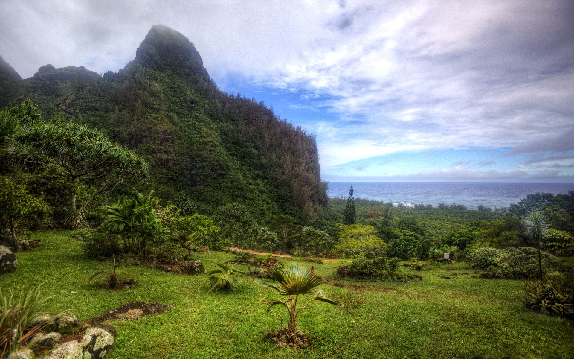 Lihue Botanical Gardens Hawaii HD Wallpaper