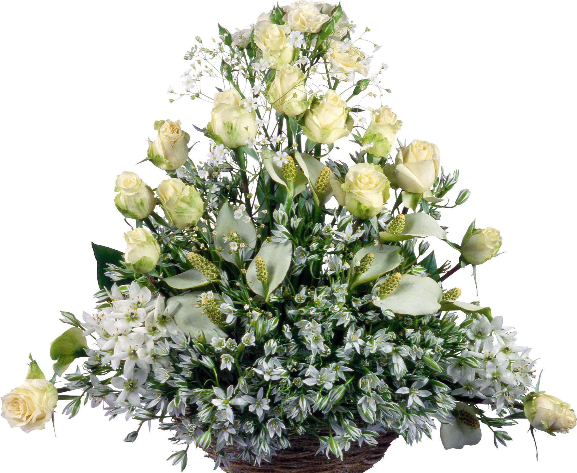 White rose and calla lily flower arrangement in a basket HD Wallpaper