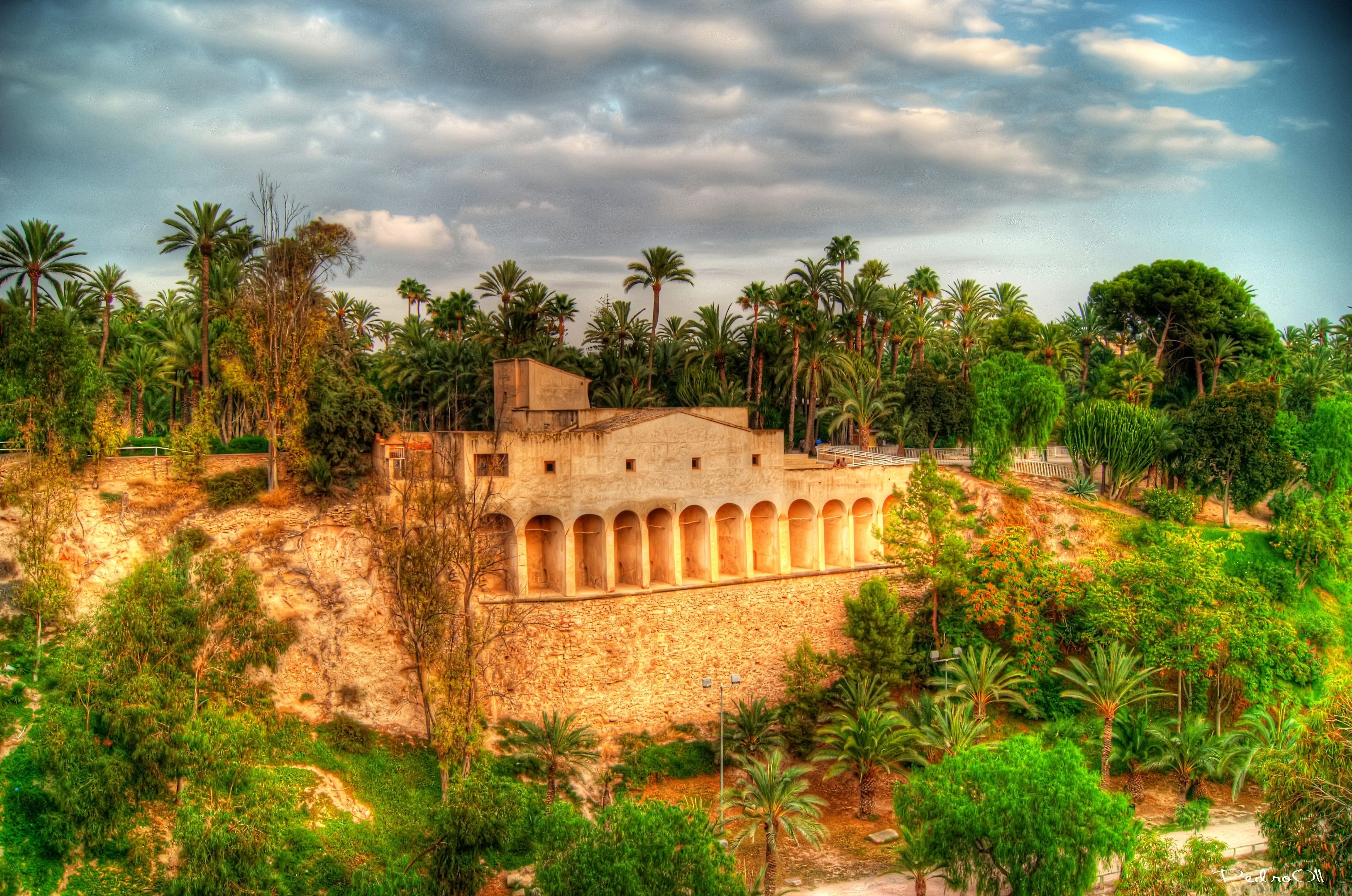 Building with arches in a palm grove HD Wallpaper