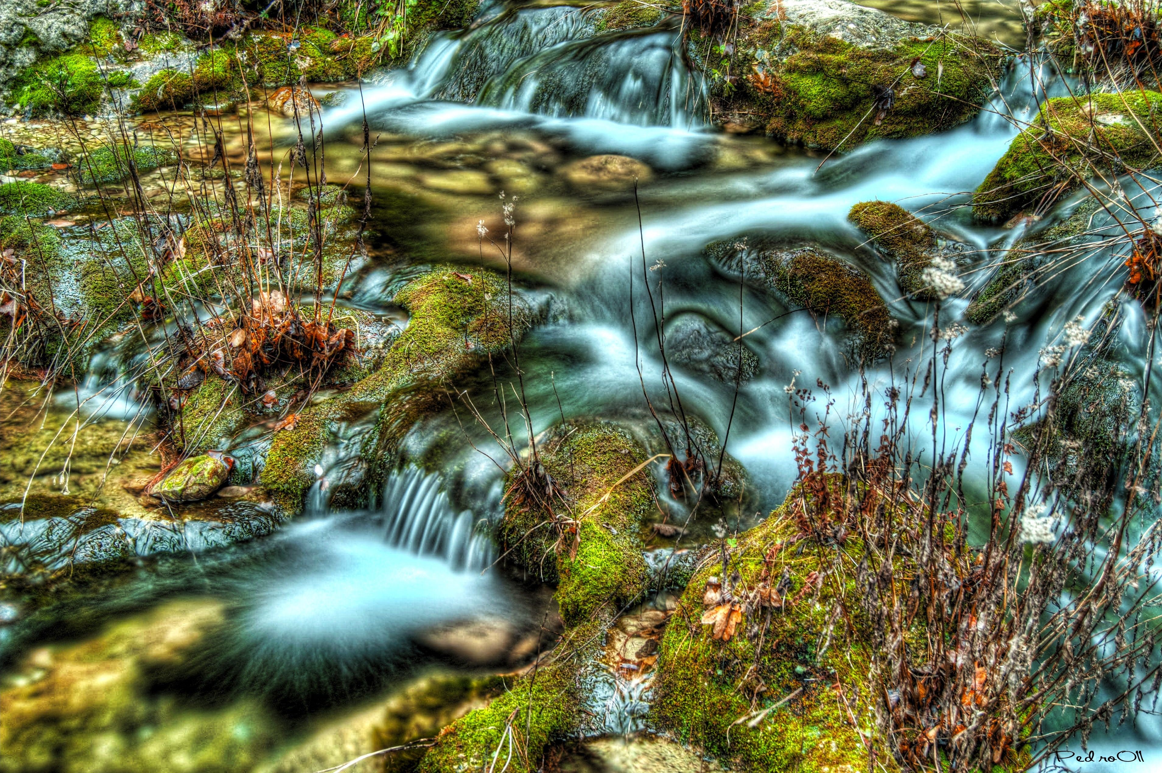 Mossy rocks in a flowing stream HD Wallpaper