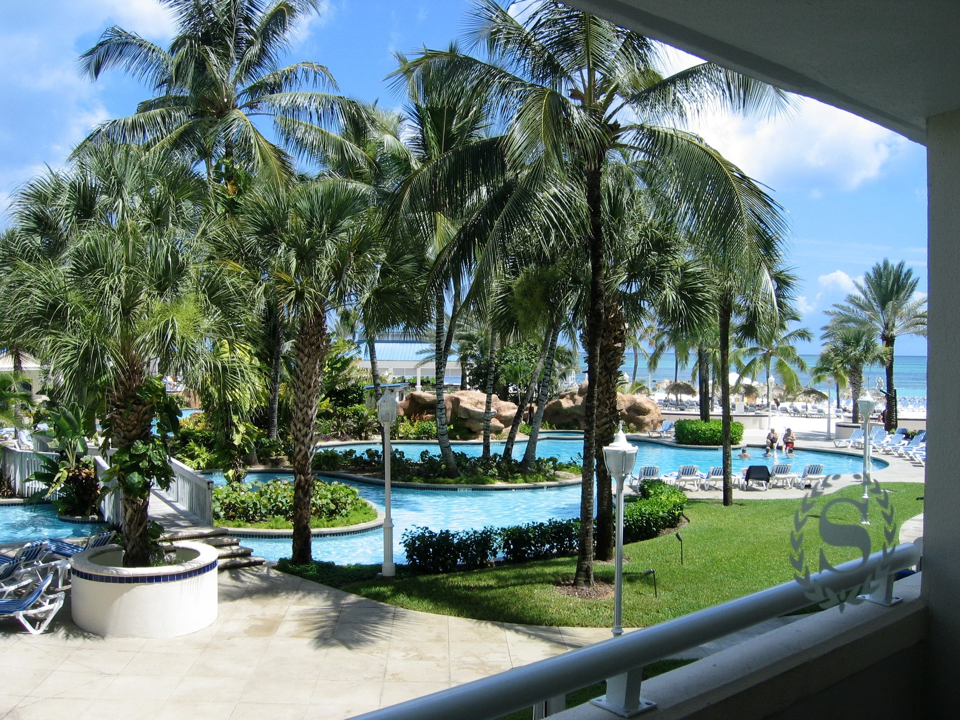 Resort pool with palm trees and ocean view HD Wallpaper