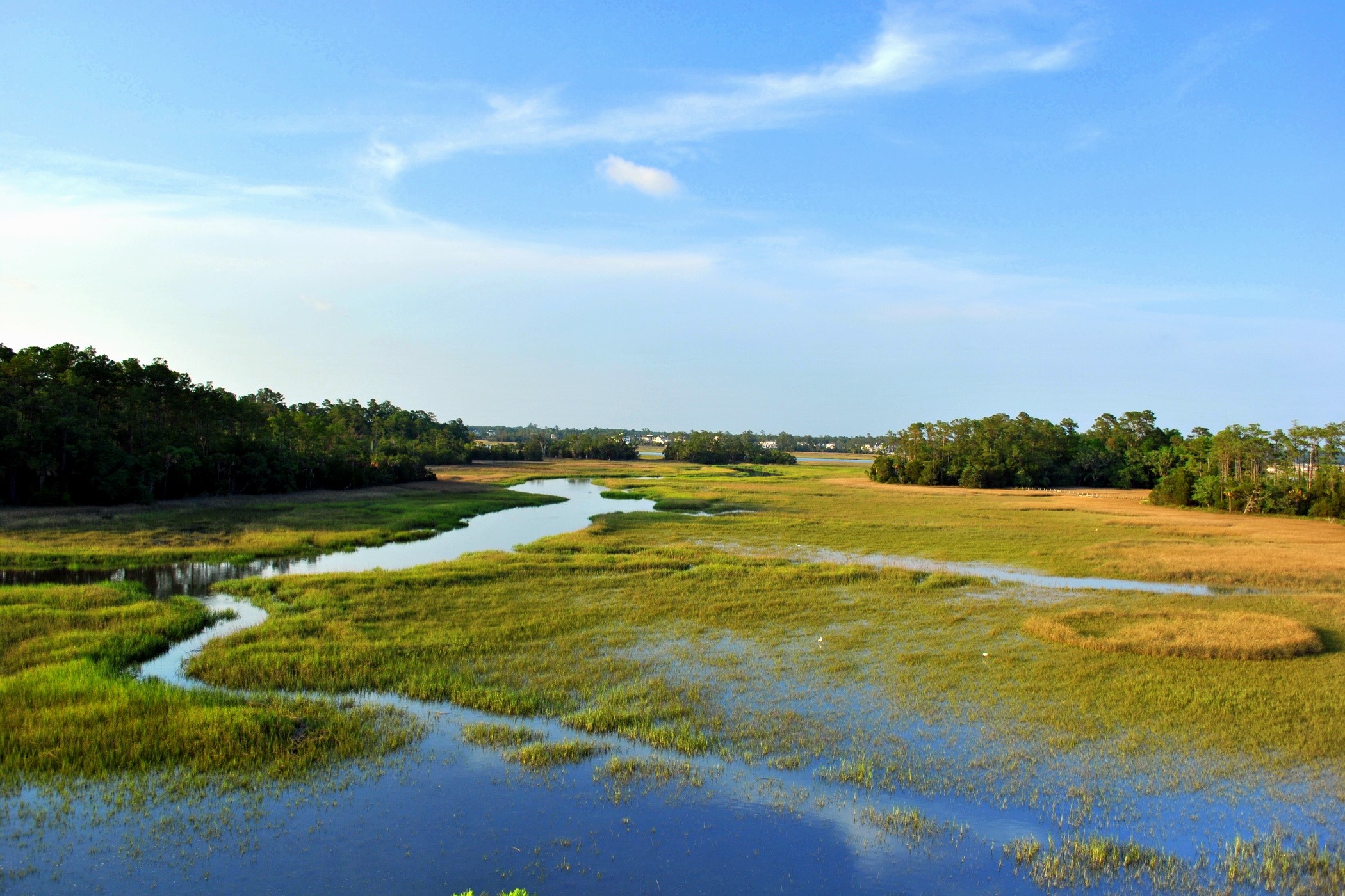 Palmetto Islands County Park Charleston USA HD Wallpaper