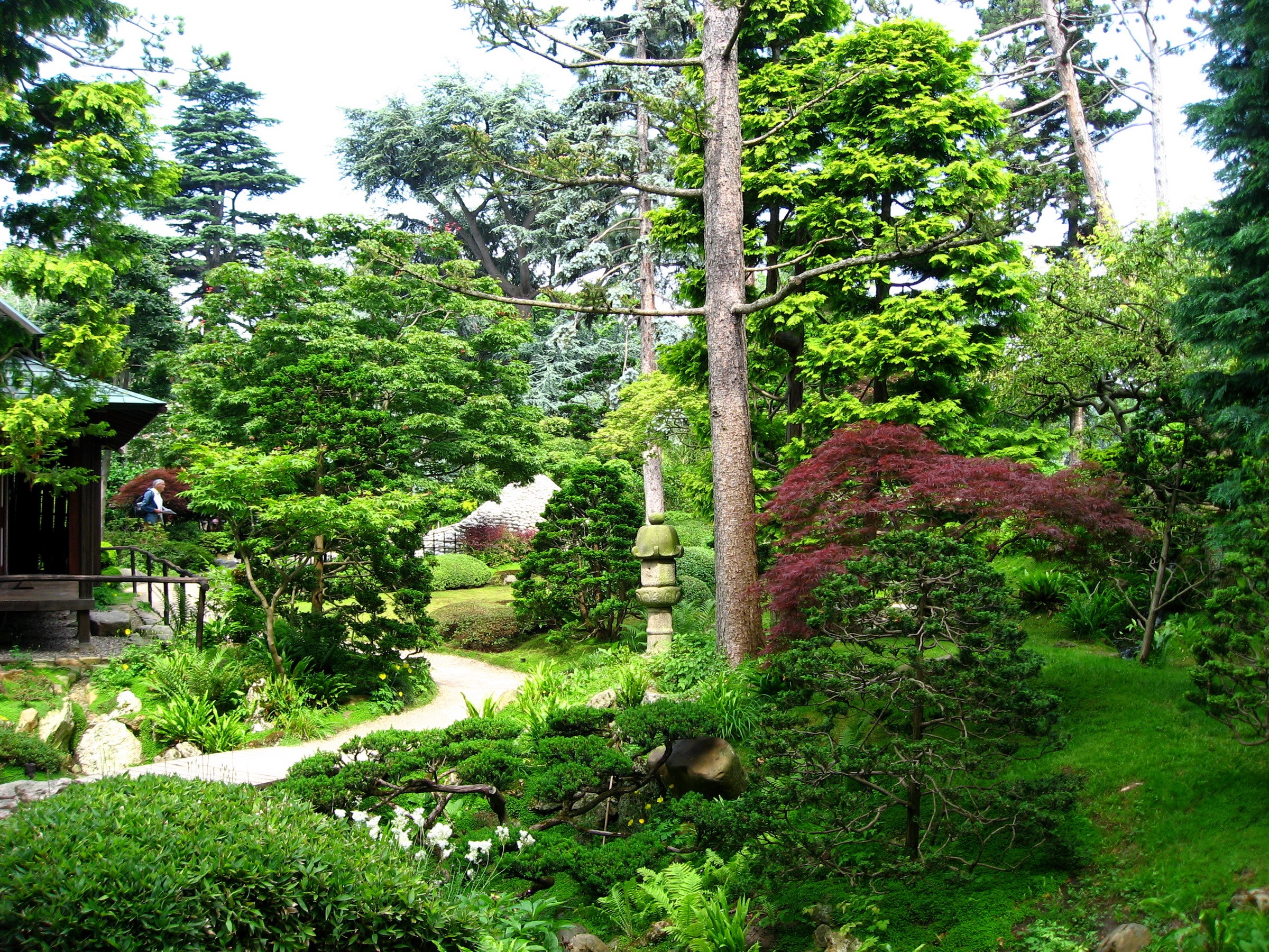Japanese garden with a pagoda and trees HD Wallpaper