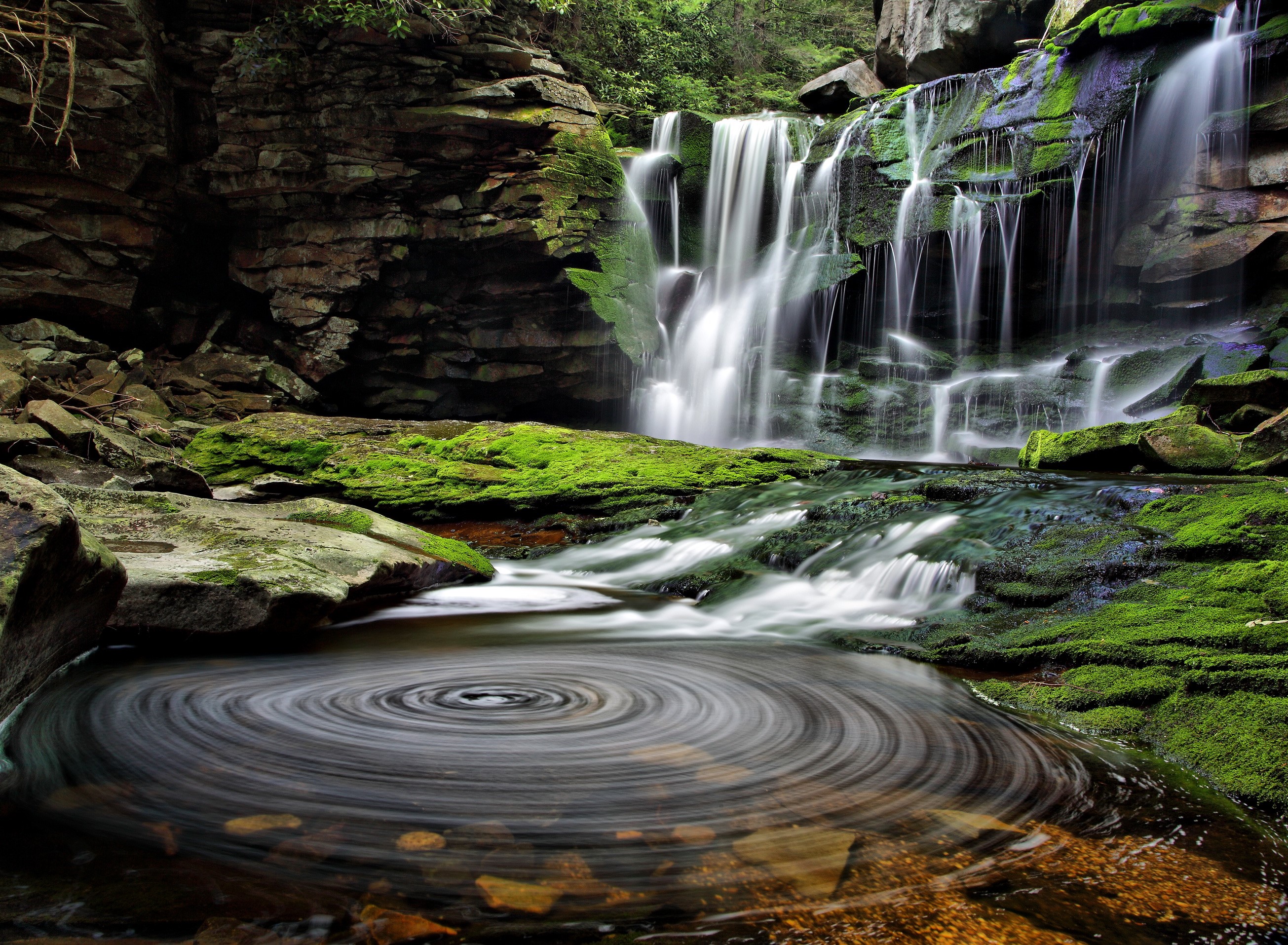 Waterfall in Blackwater Falls State Park, USA HD Wallpaper