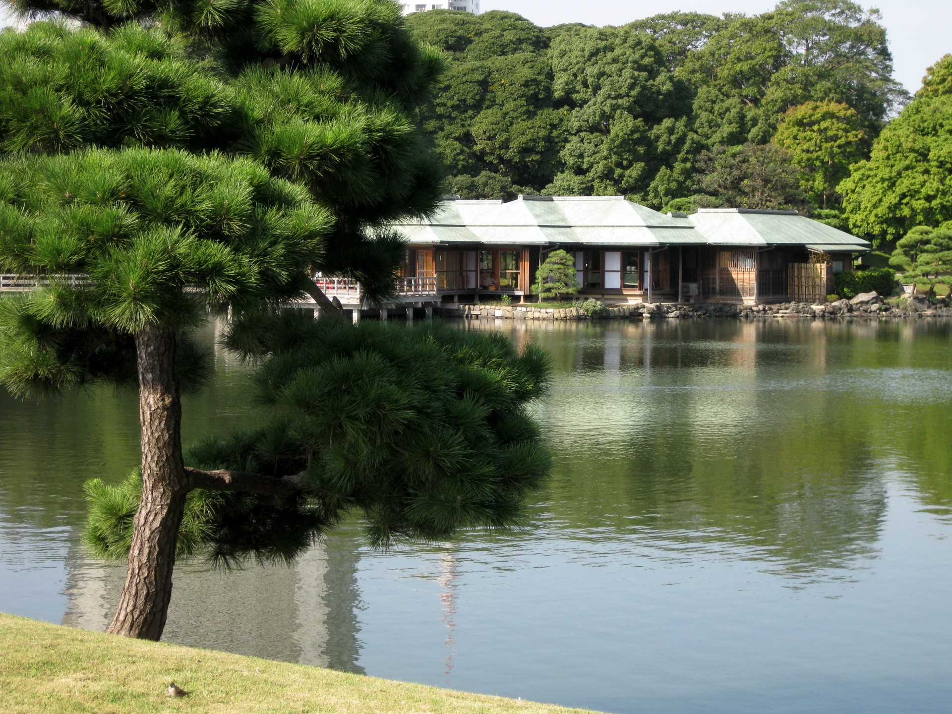 Japanese Garden with Pond and Traditional Building HD Wallpaper