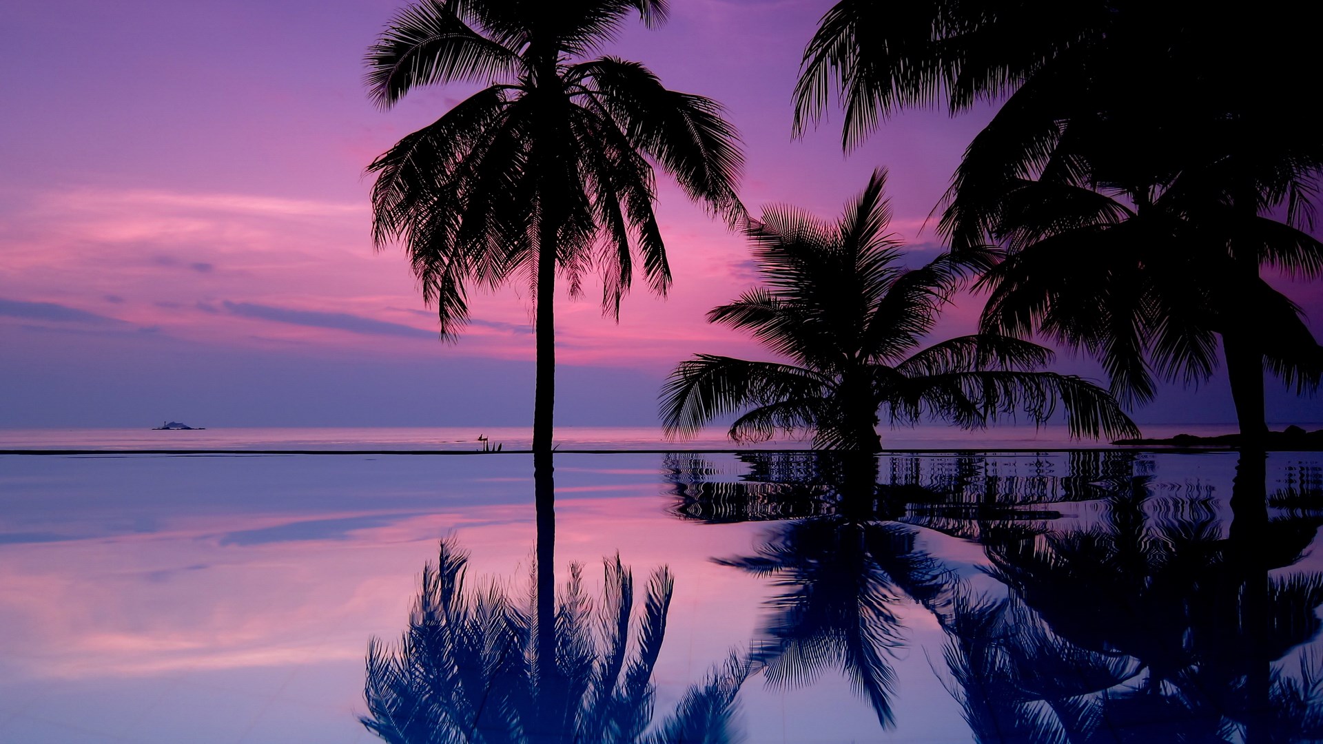 Palm trees reflected in infinity pool at sunset HD Wallpaper