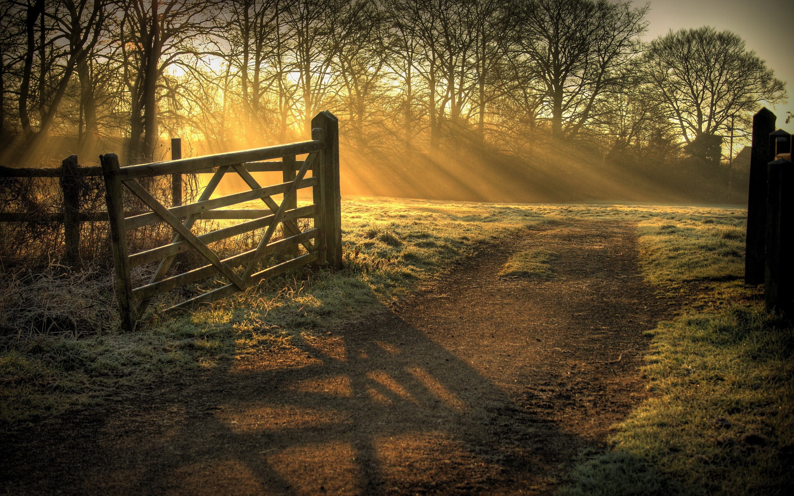 Wooden gate and path in misty sunrise HD Wallpaper