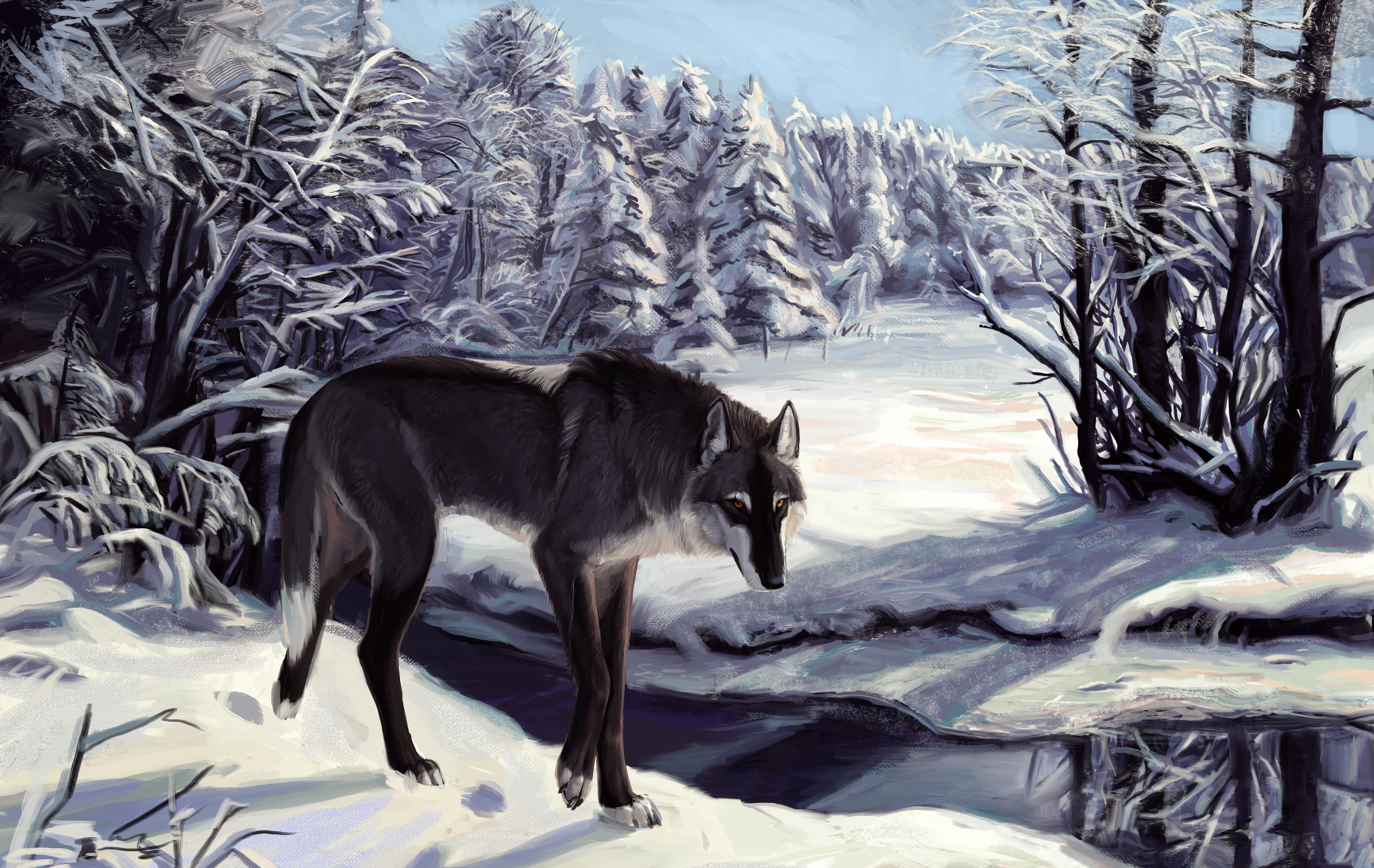 Wolf in a Snowy Forest HD Wallpaper